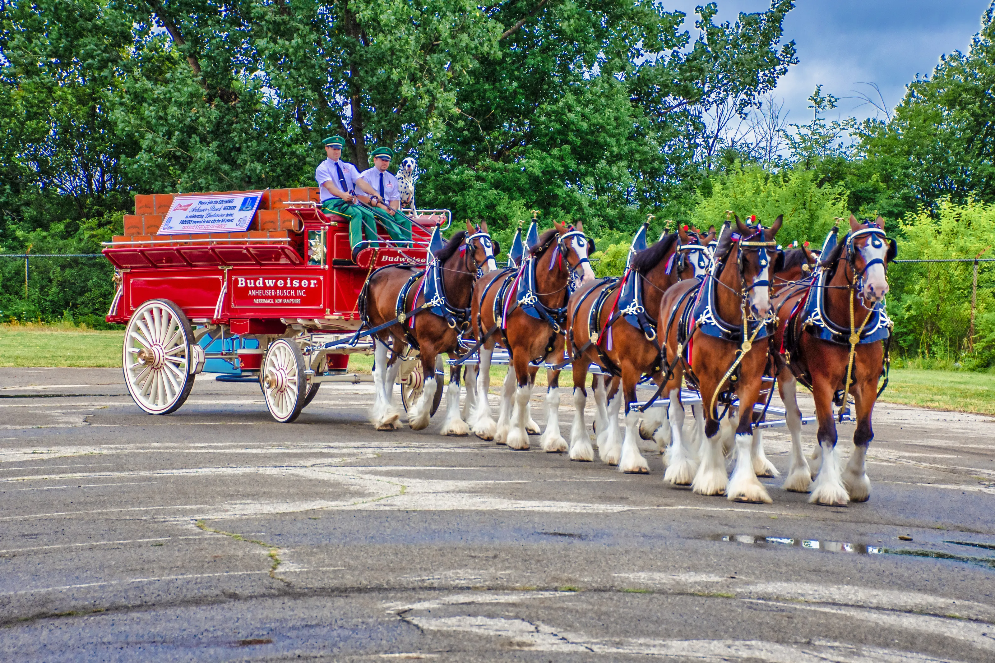 Carriages with Horses