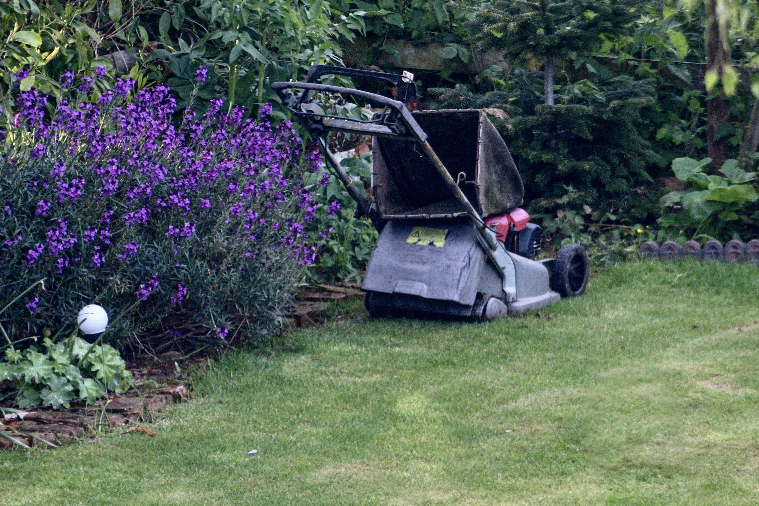 Grass Cutting Garden Machinery (in colour)