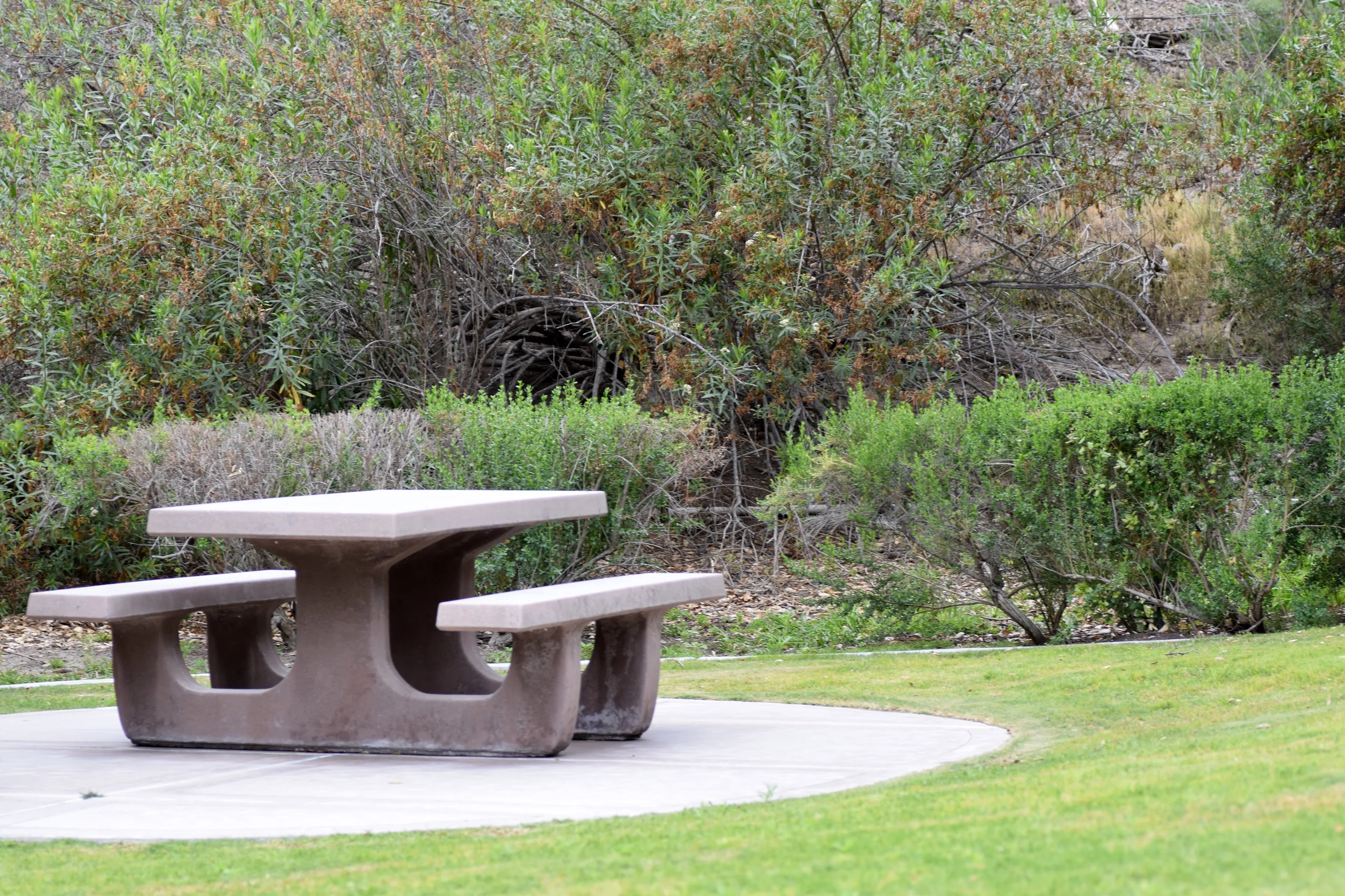 Picnic Tables Outside