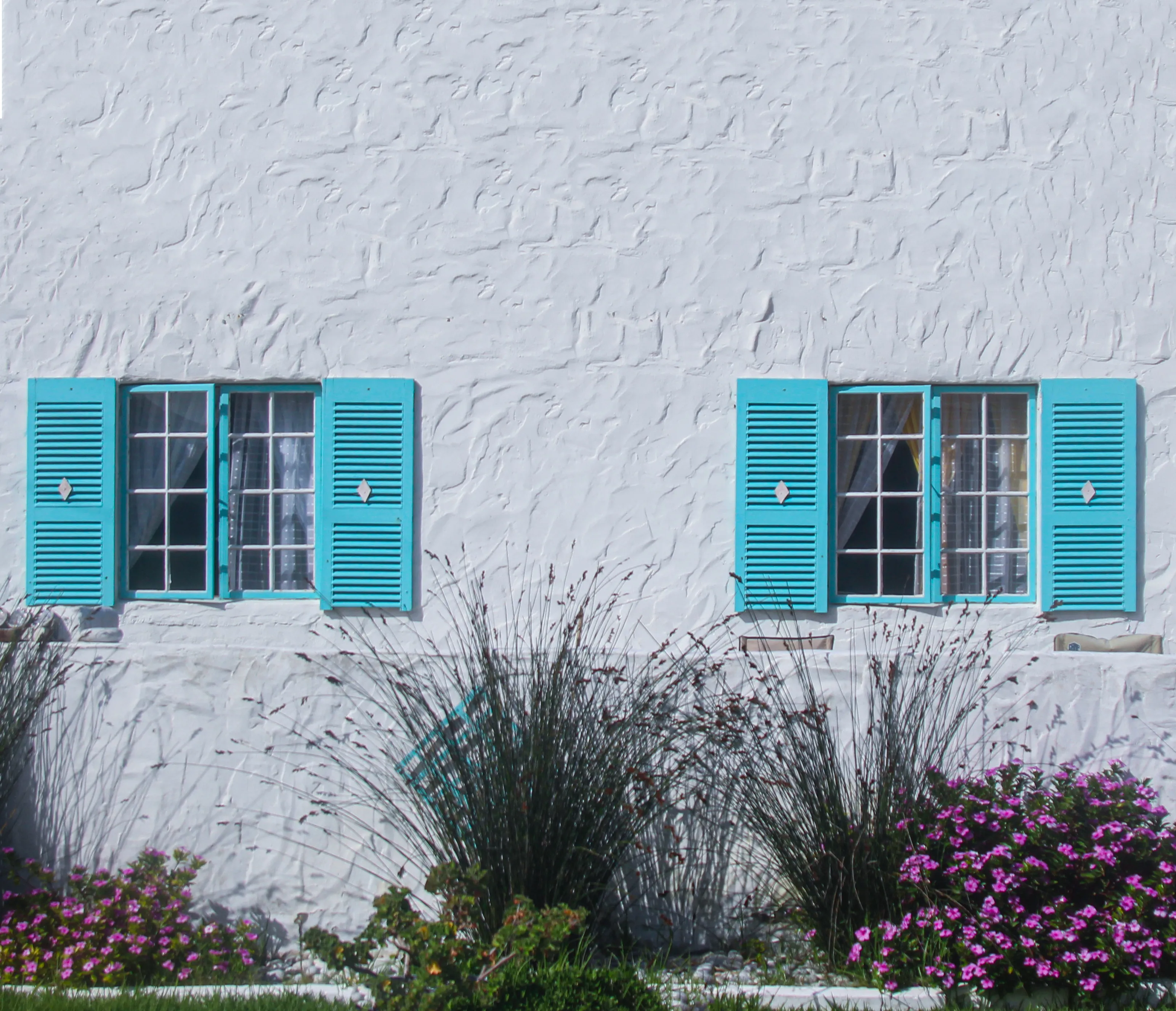 Windows and Shutters