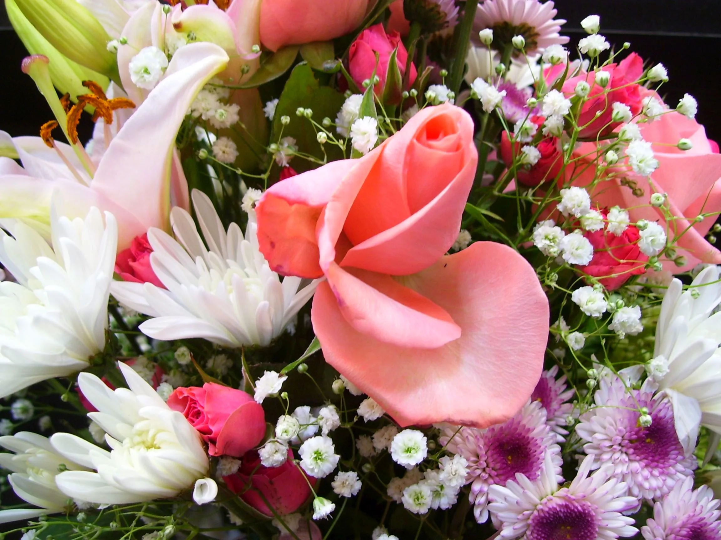 Different Types of Flowers Together