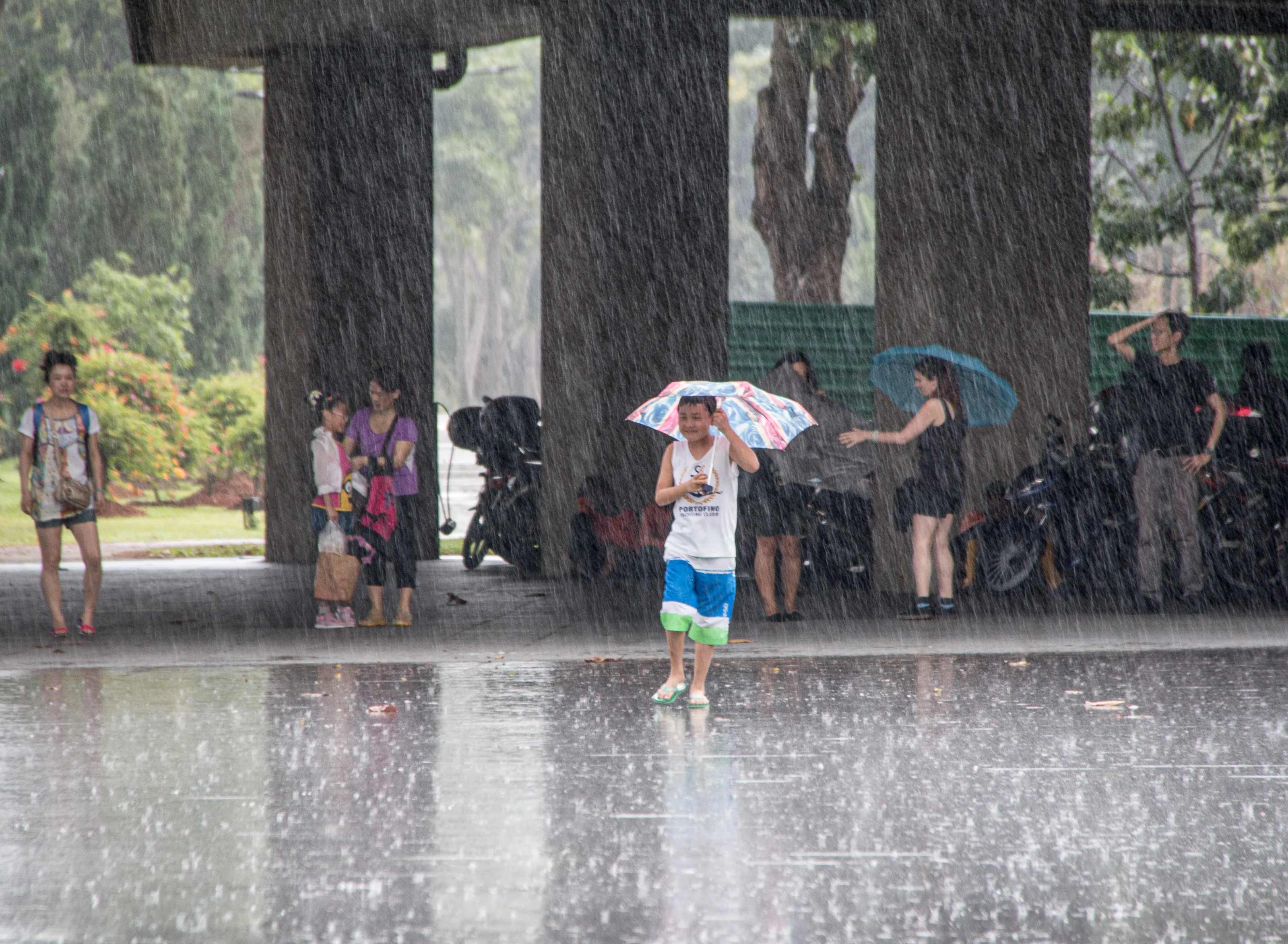 People in the Rain in the Street