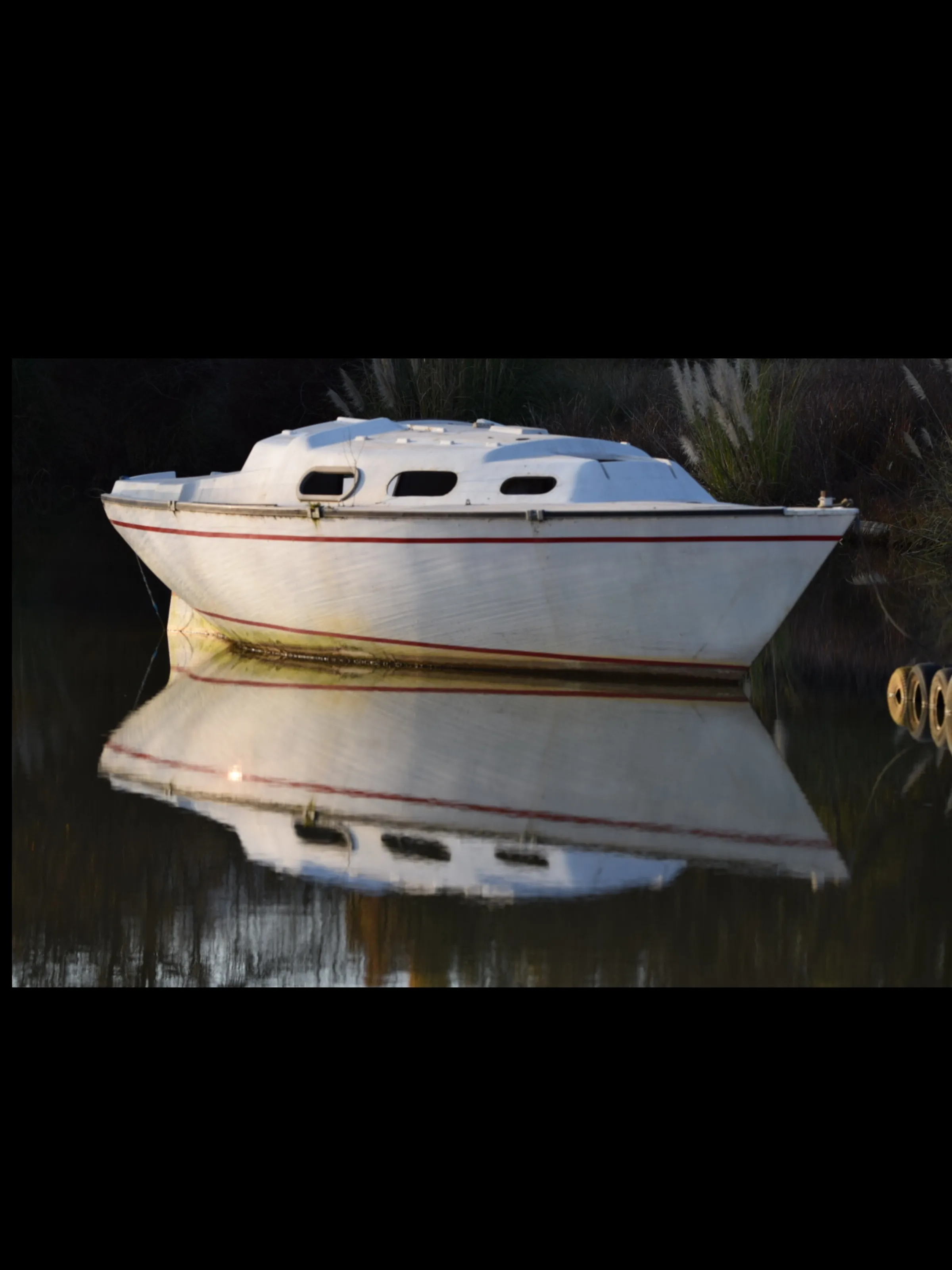 Water Reflections