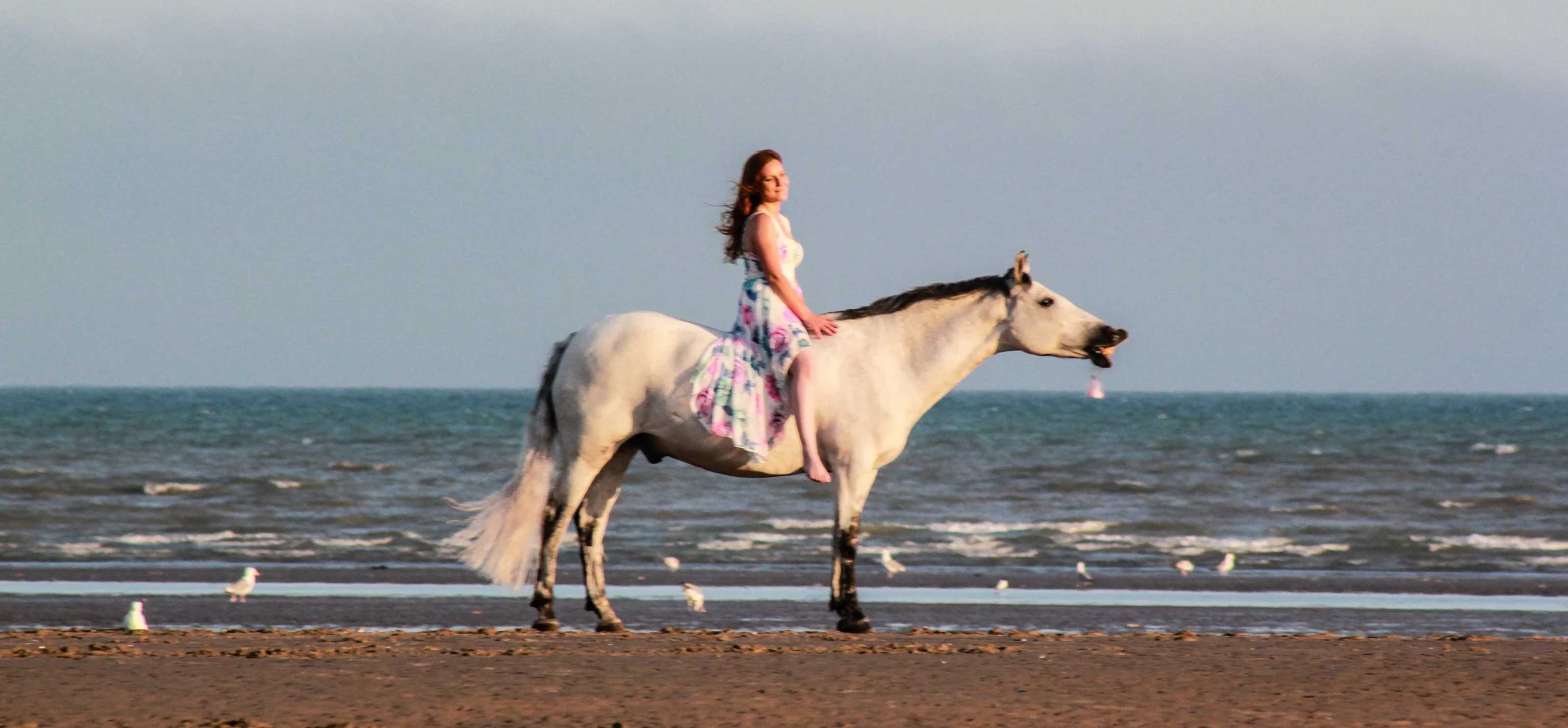 Adults with Horses (no children)