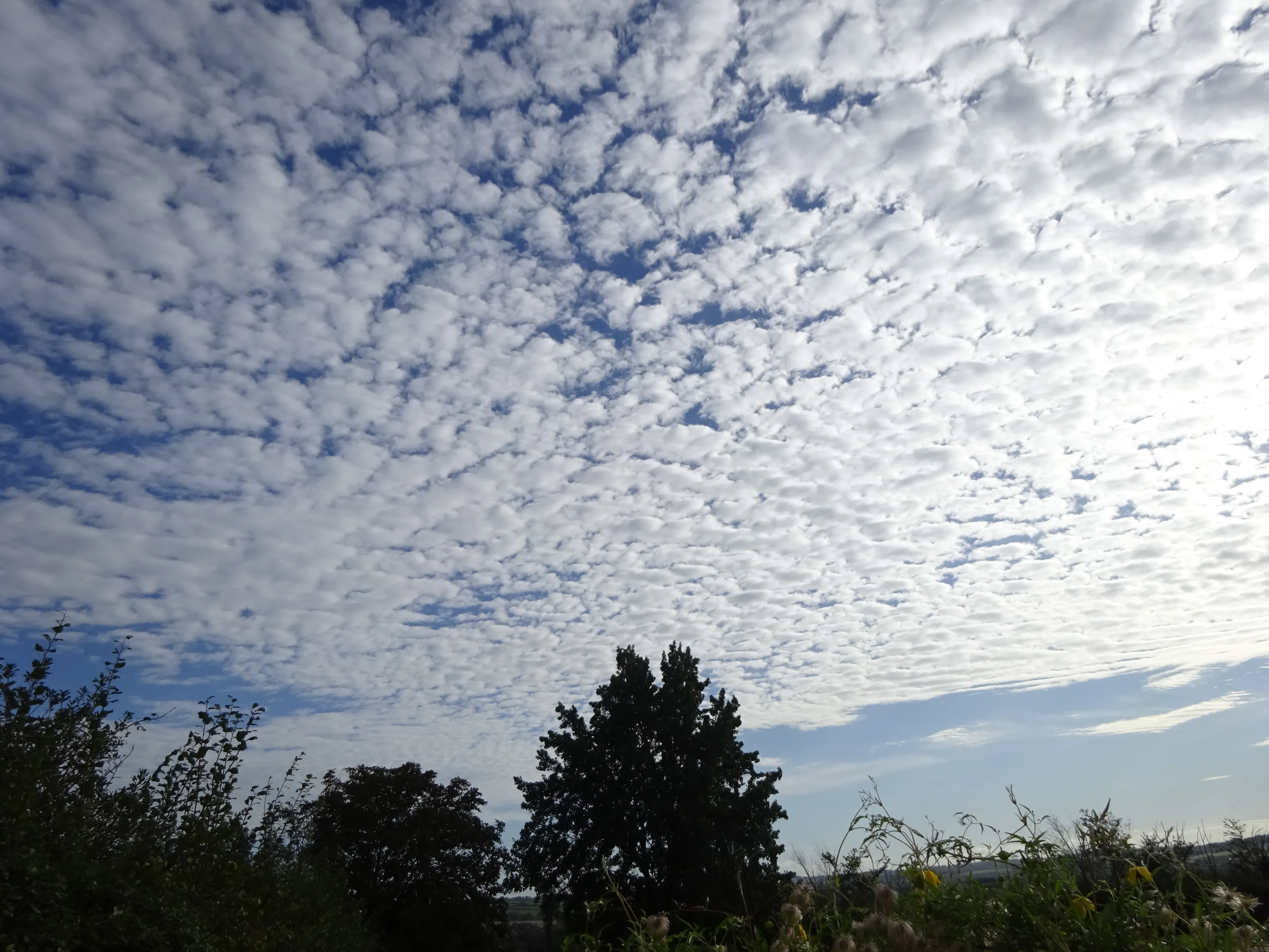 Interesting Skies