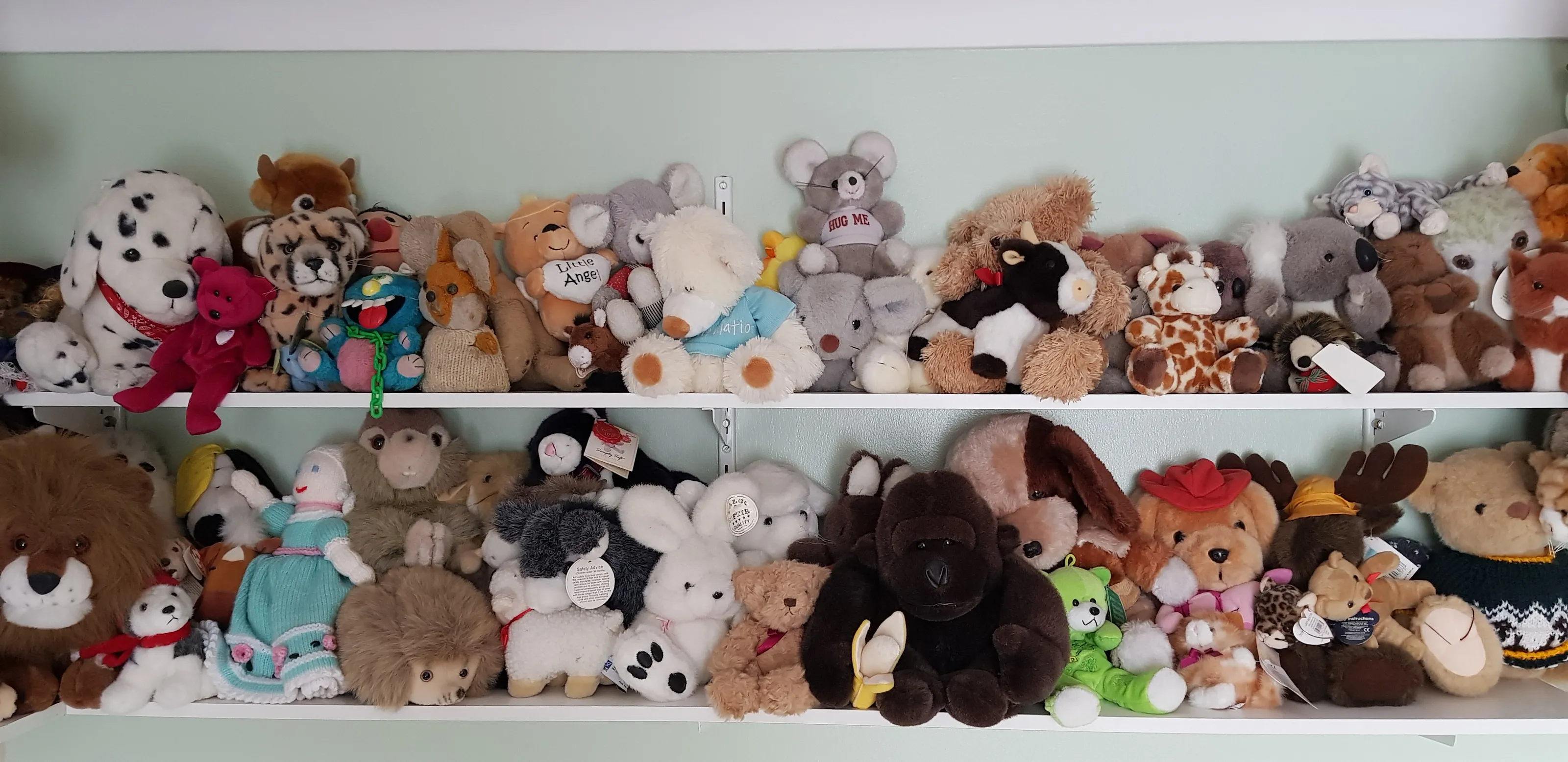 Cuddly Toys
