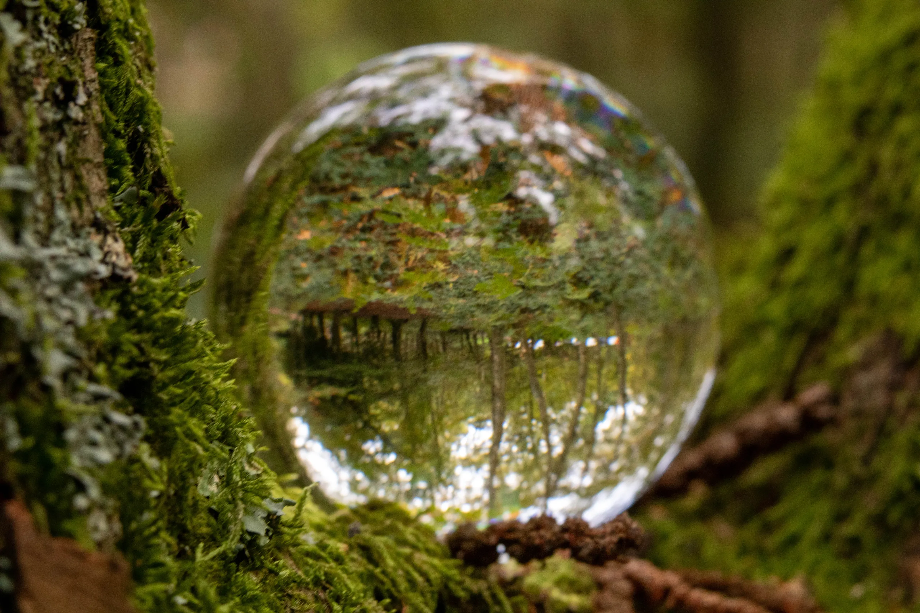 Landscape or Seascape Through a Lensball