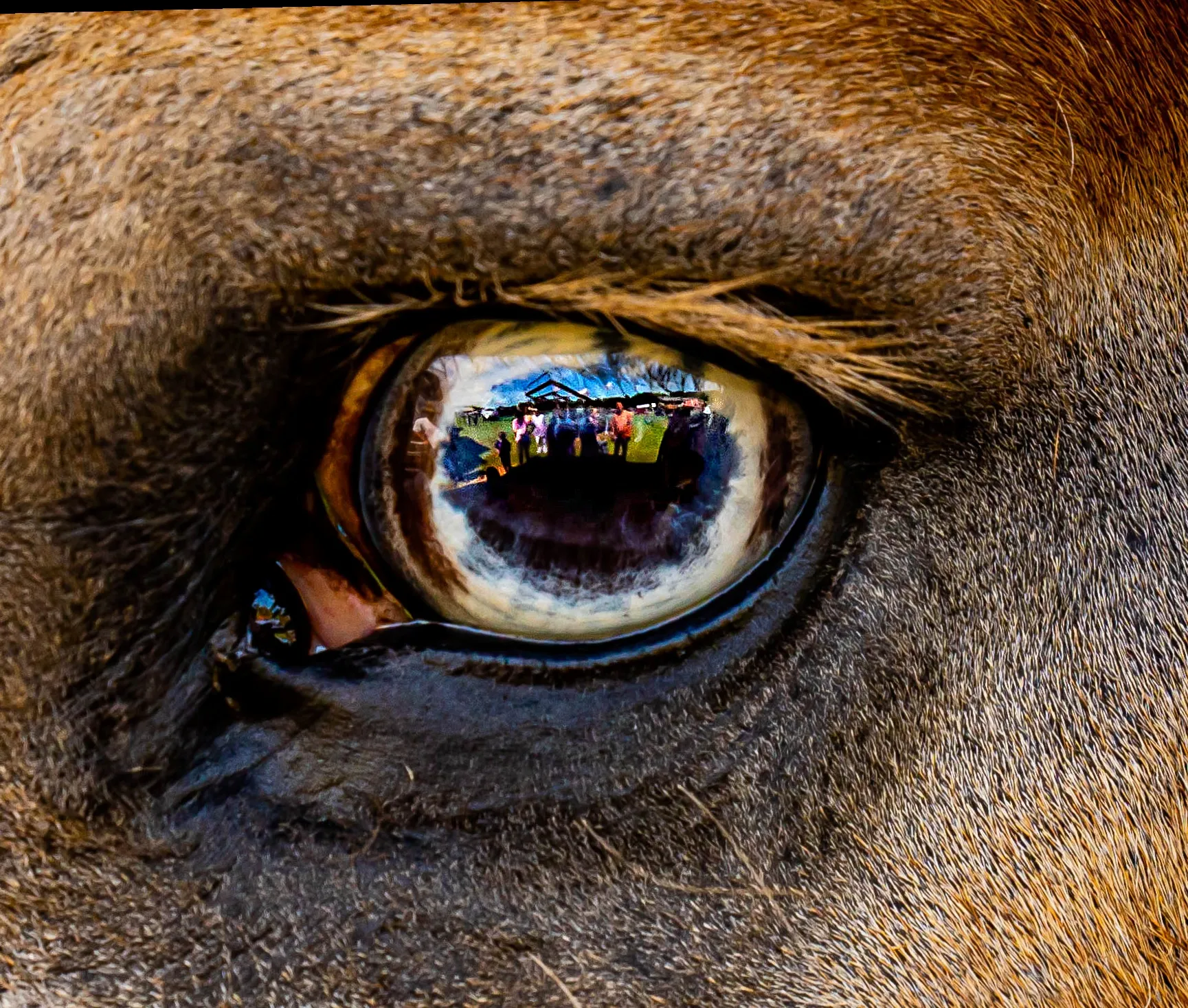 Interesting Eyes