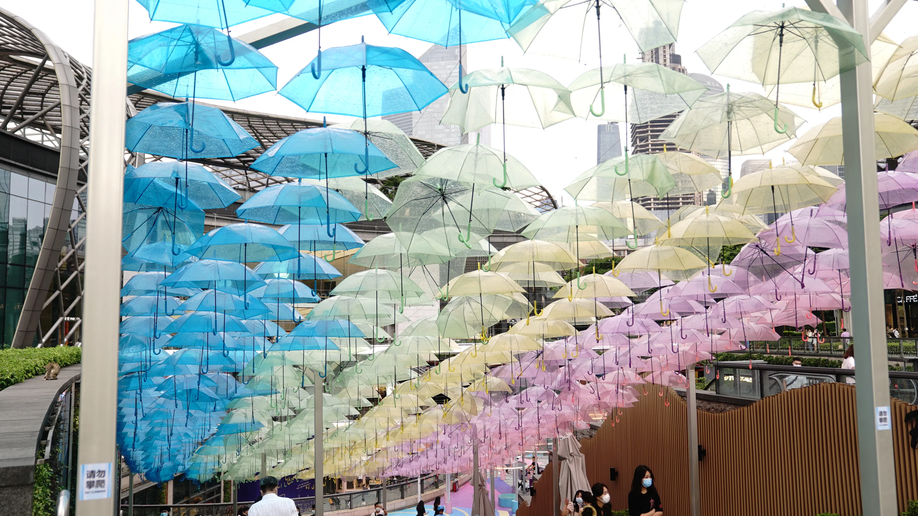 Umbrellas and Parasols