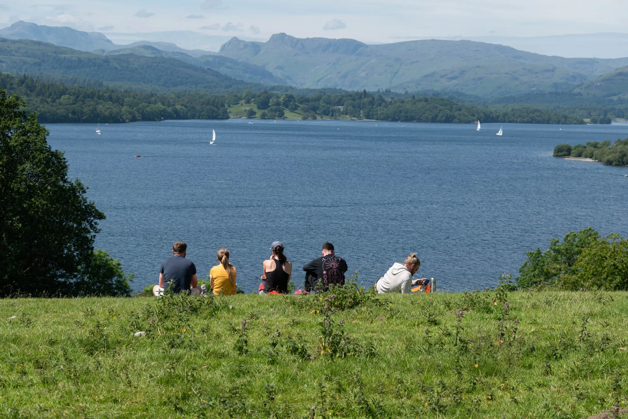 People Admiring the View