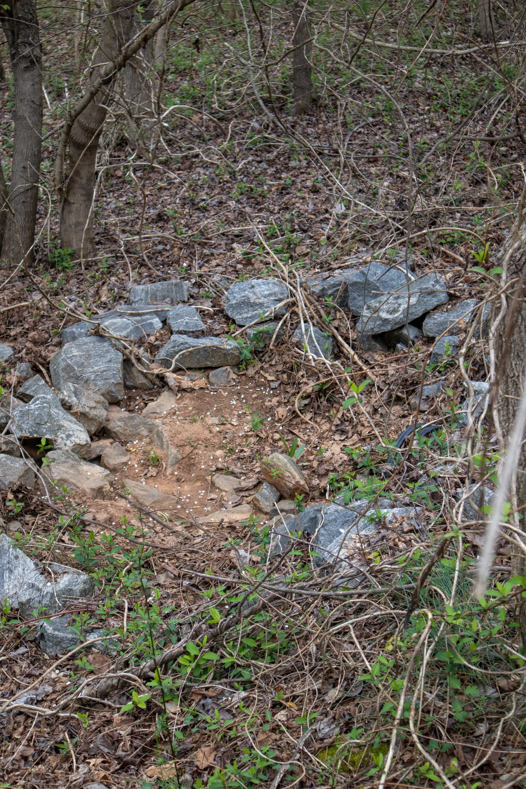 Rocks