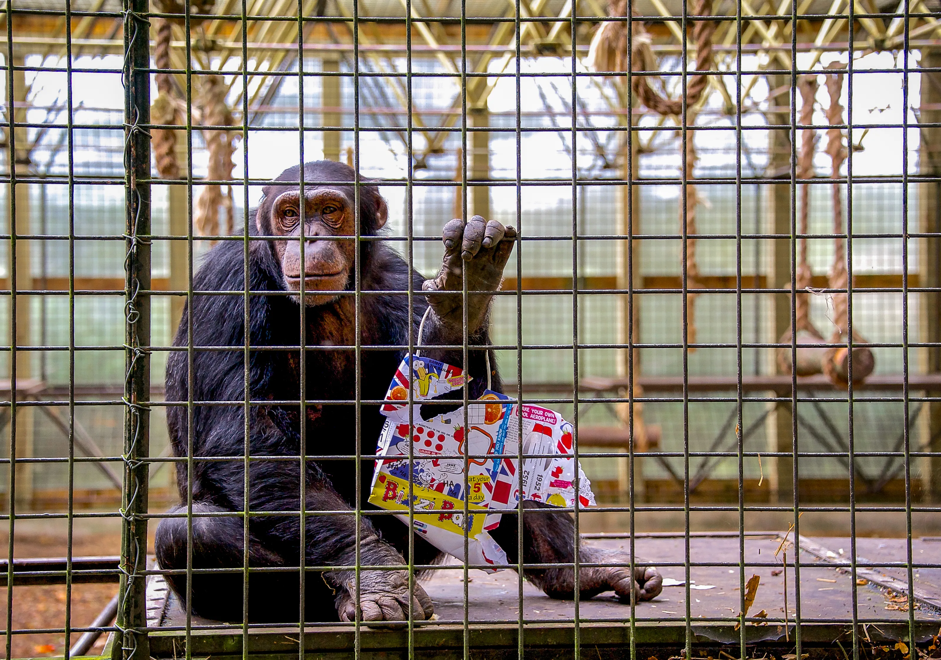 A Day at the Zoo