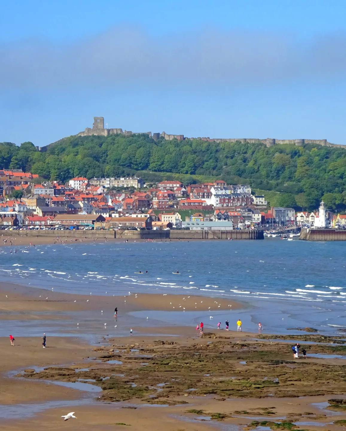British Coastline Landscapes (in colour)