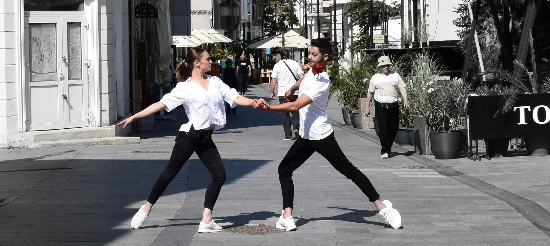 Dancers and Athletes: Beauty of the Human Body
