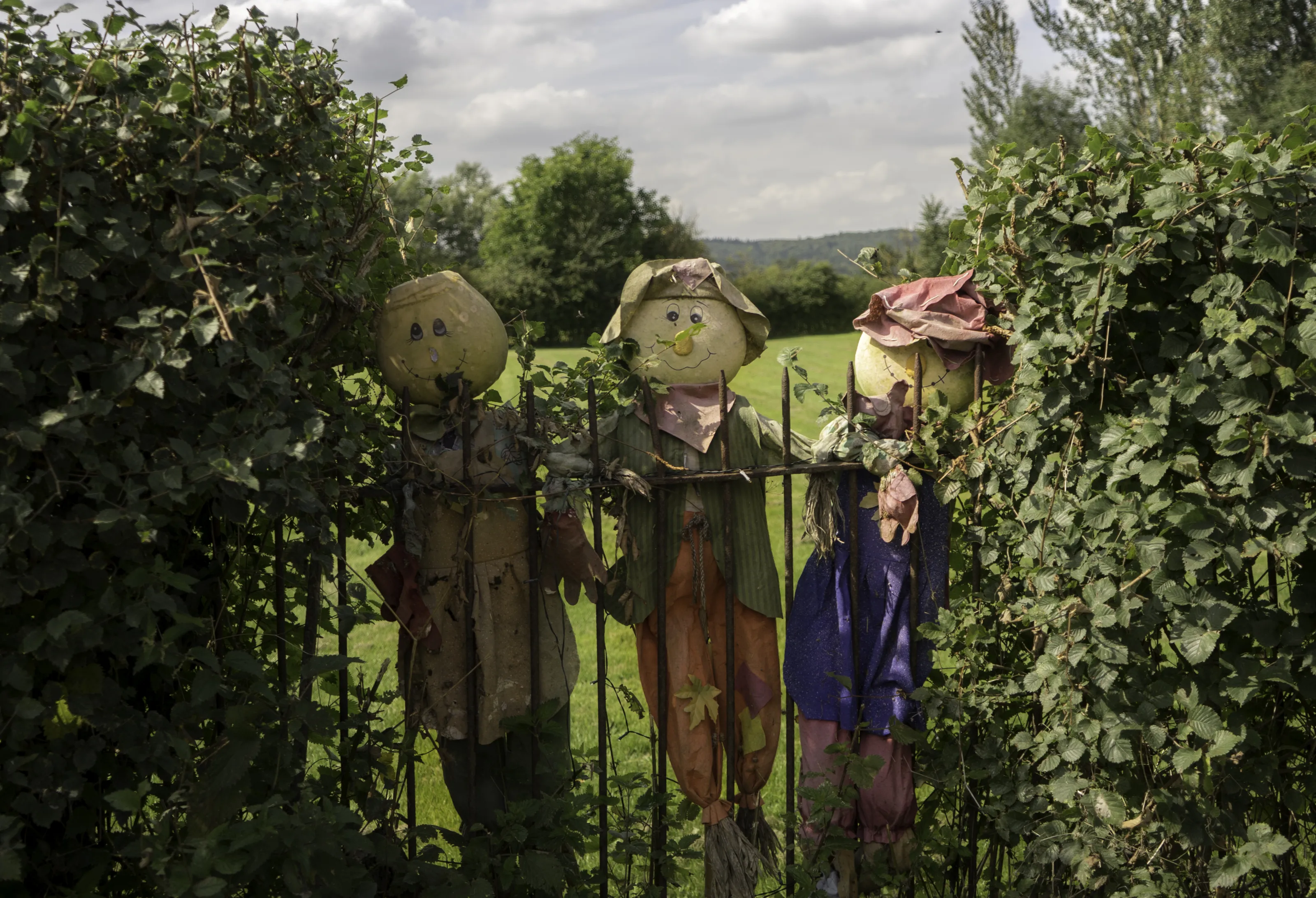 Scarecrows in Colour