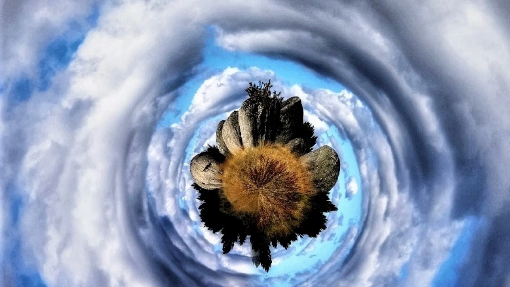 Little Worlds