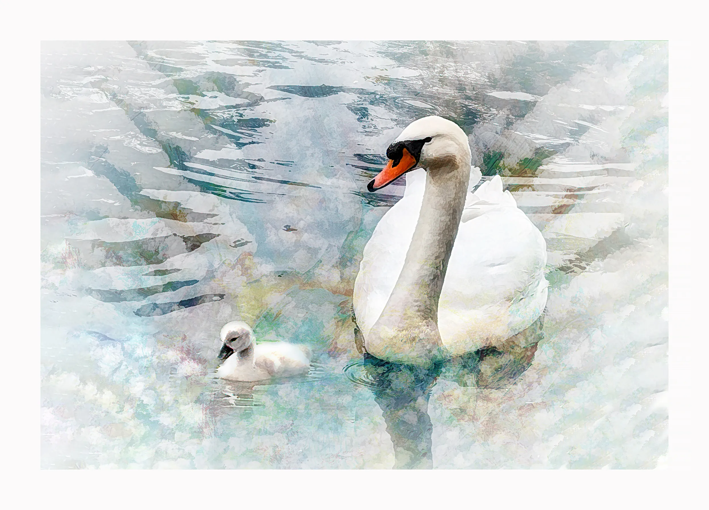 Birds Only, with Painterly or Graphic Effects