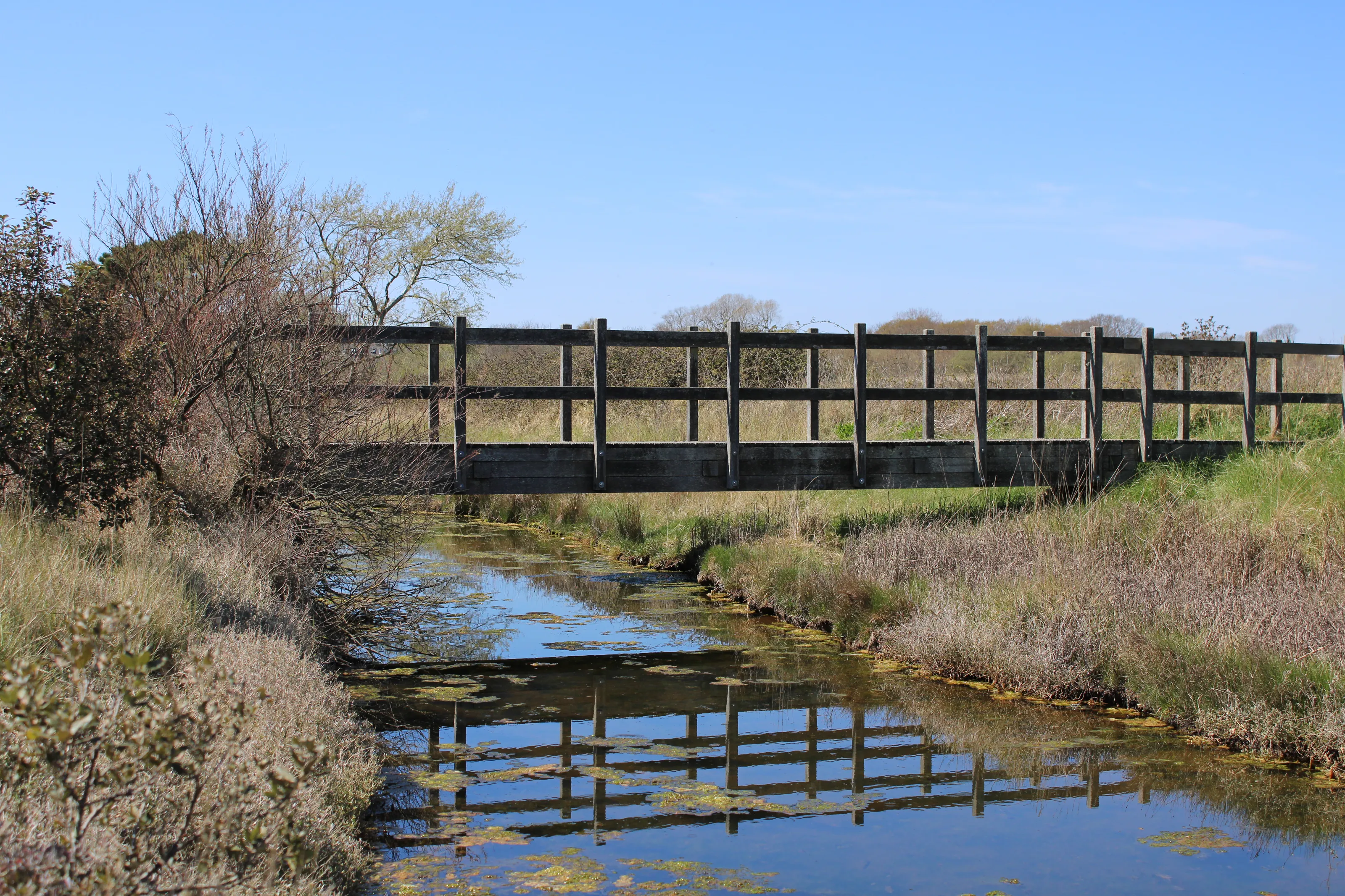 Bridges Over Water
