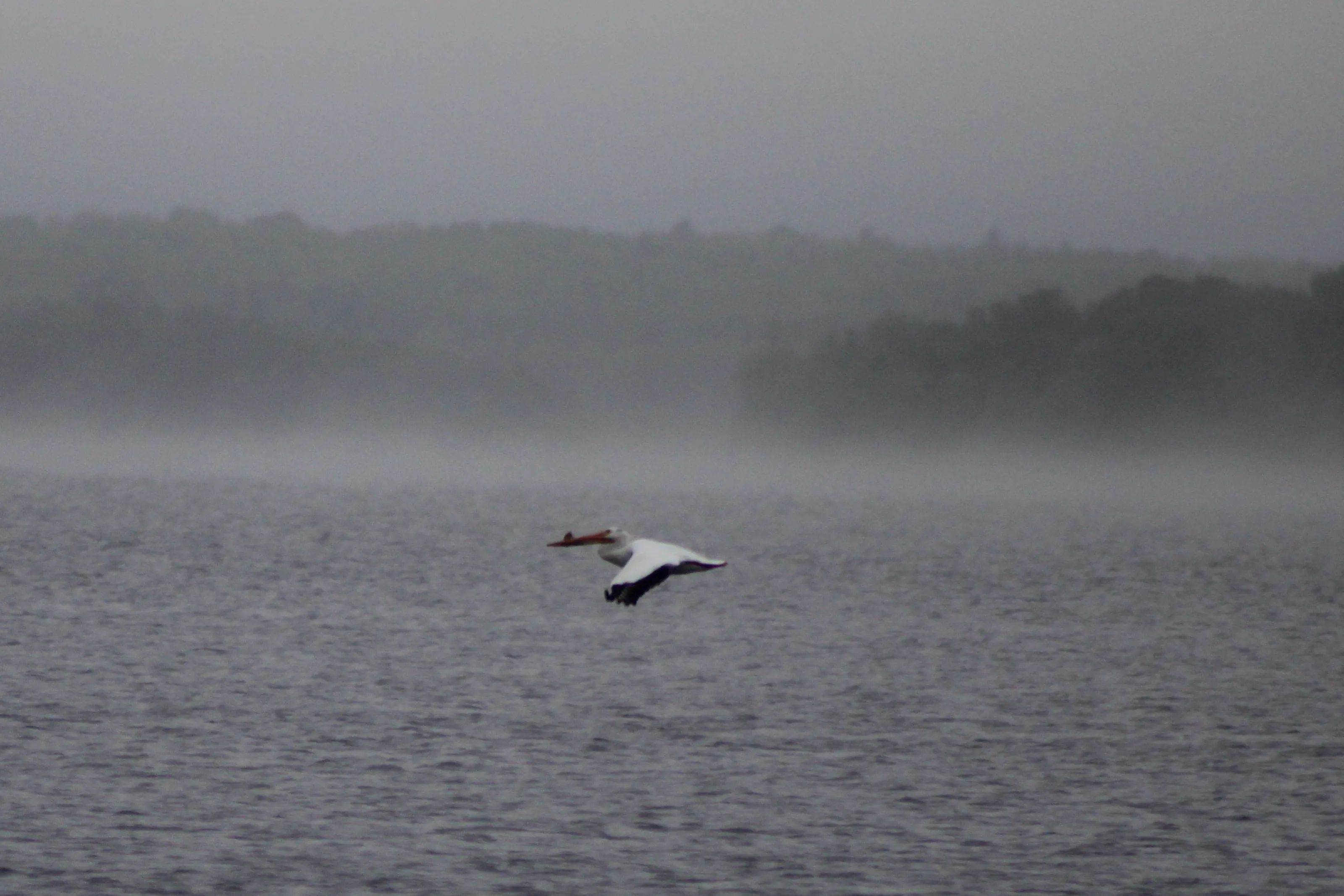Fog and Mist over Water