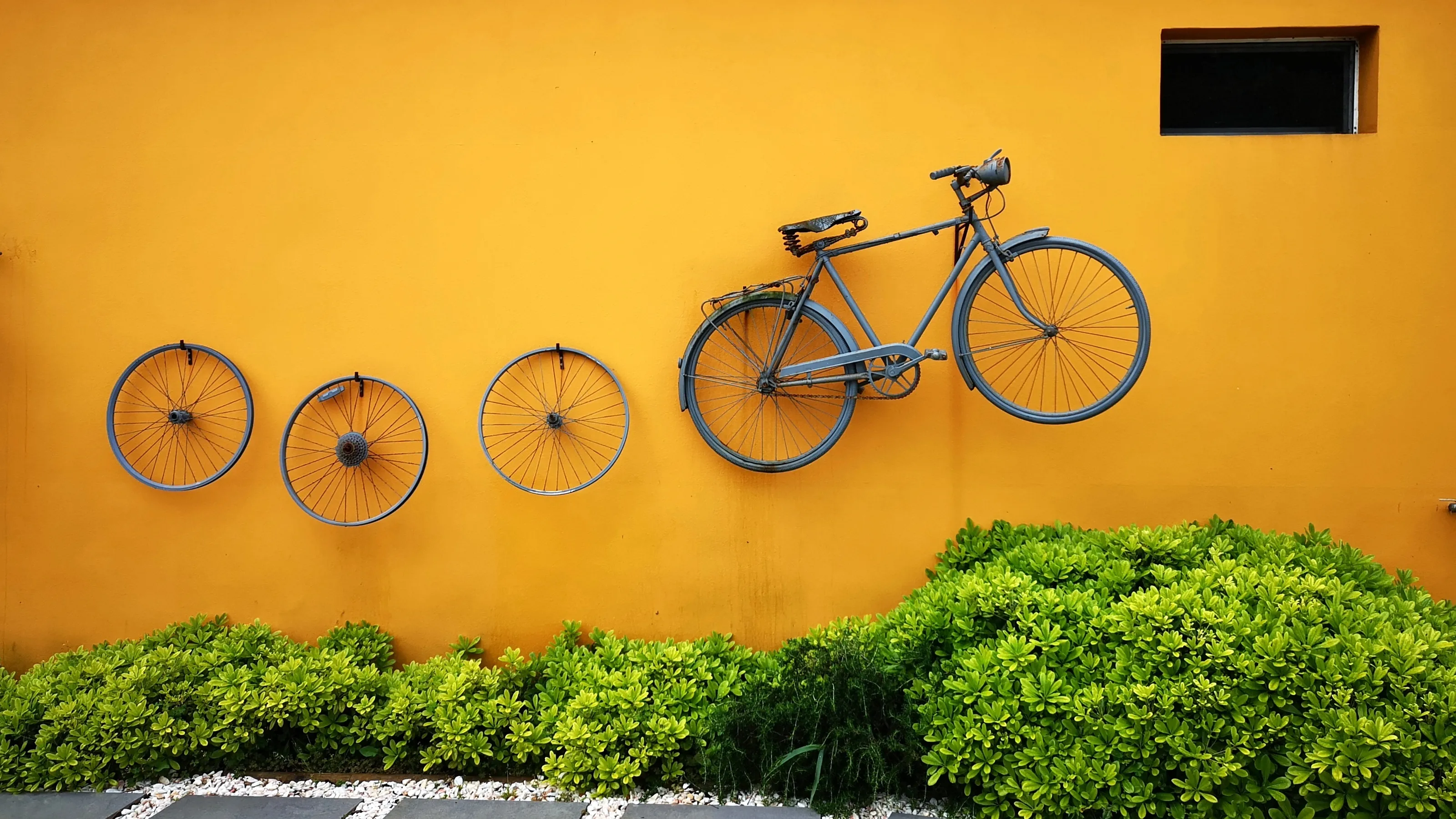 The Colour Yellow