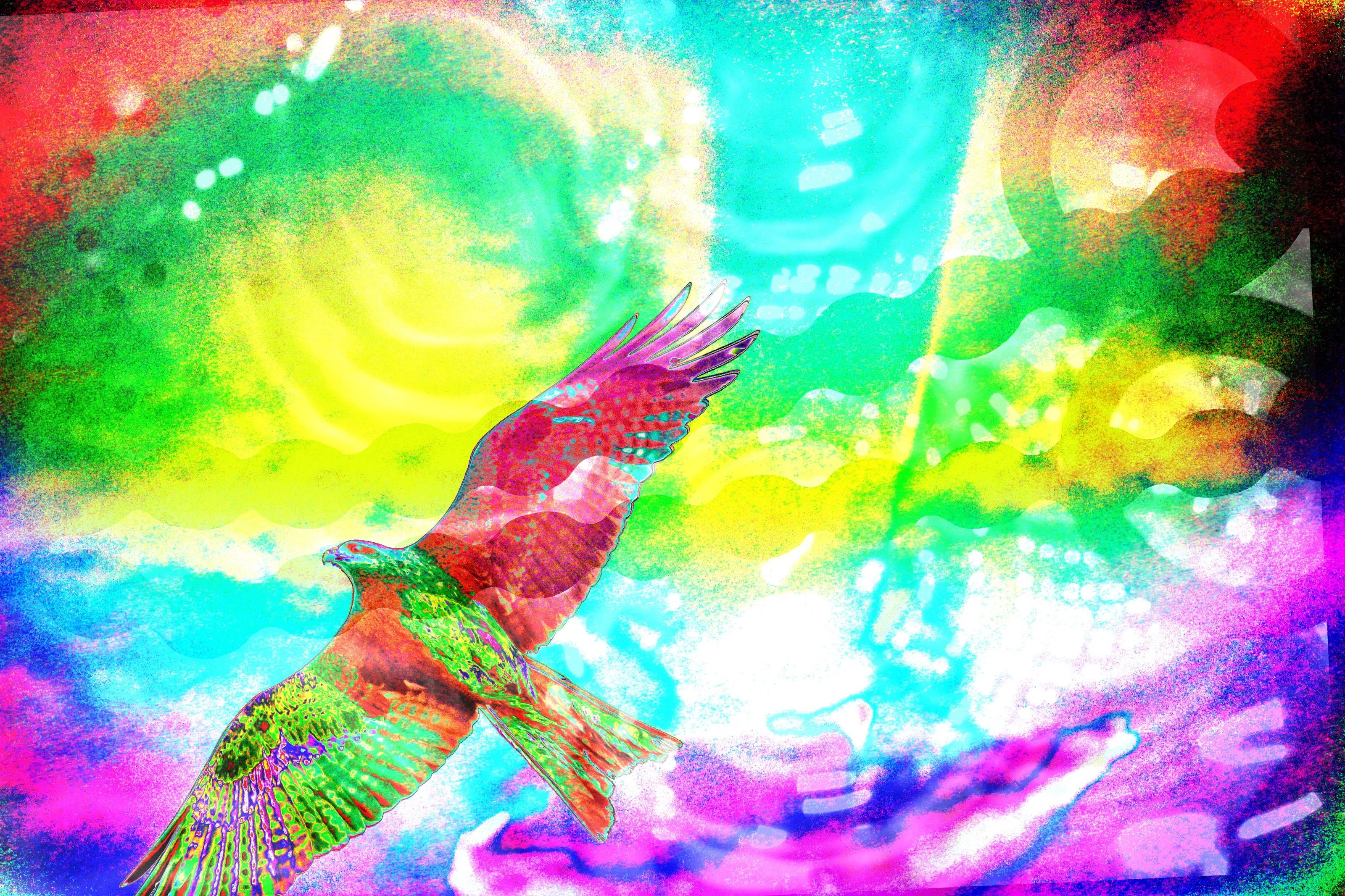 Photos with Artistic Paint Effects