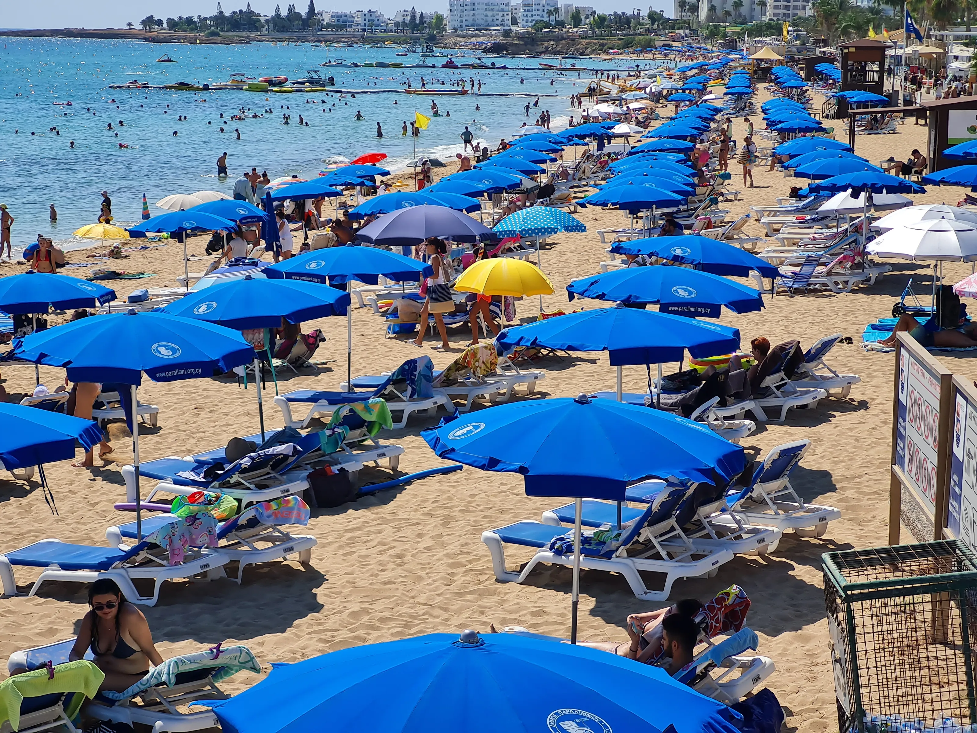 People Enjoying Summertime Activities (in colour)