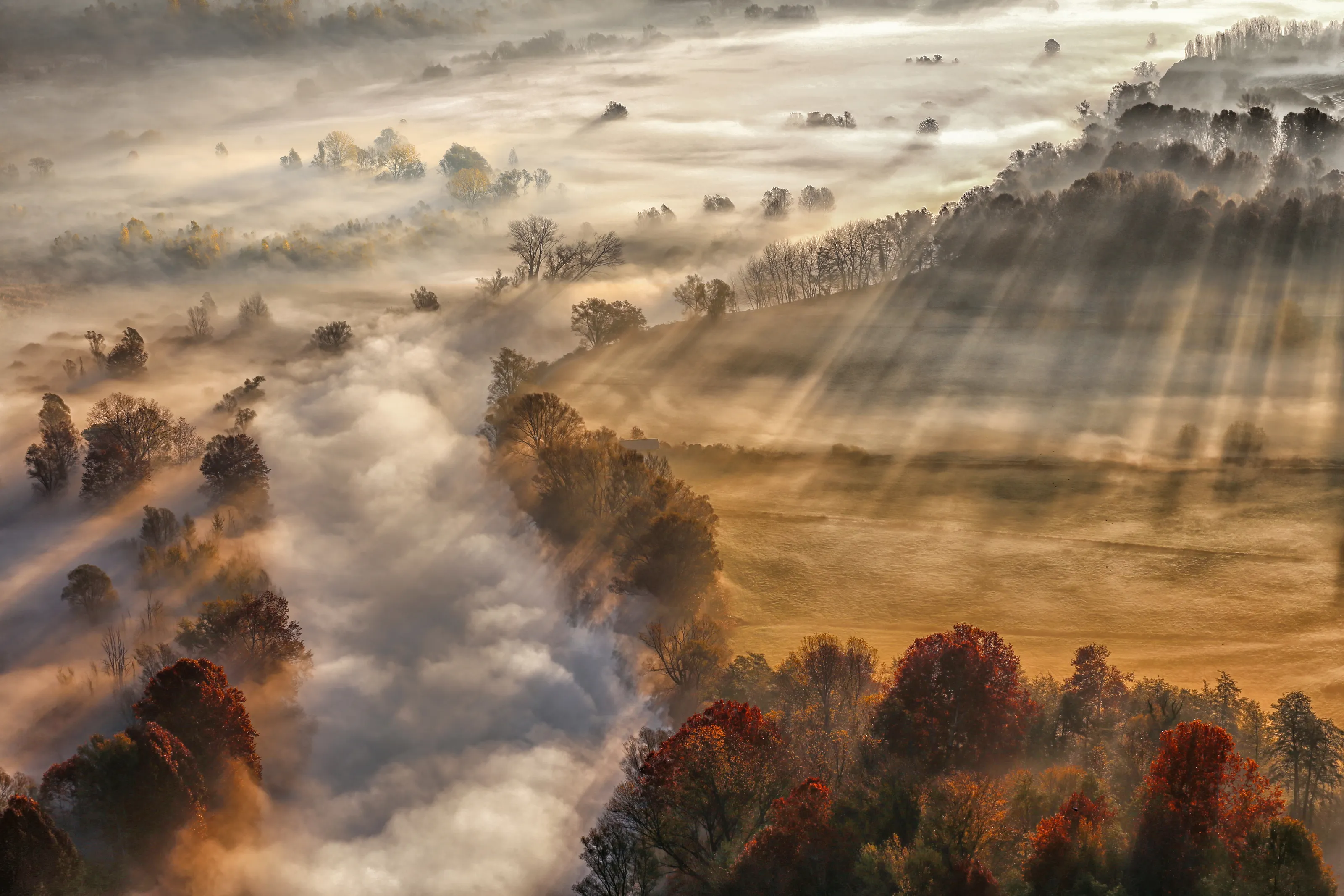 Enchanting Natural Environments (no people)