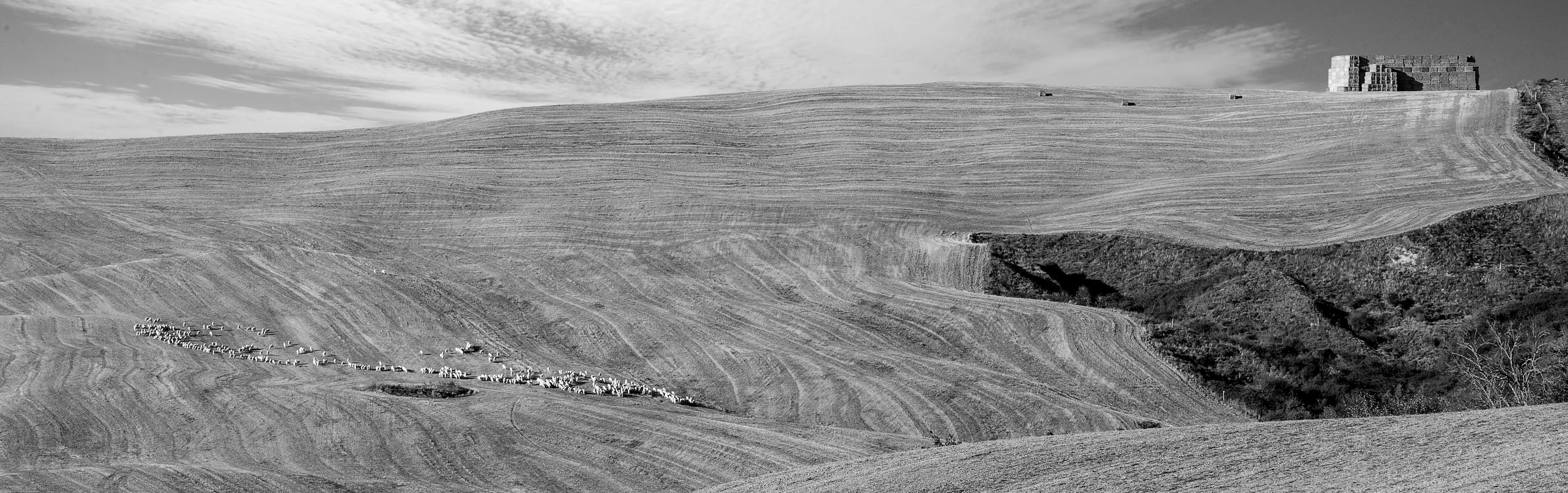 Landscapes in Black and White (no colour-toning)