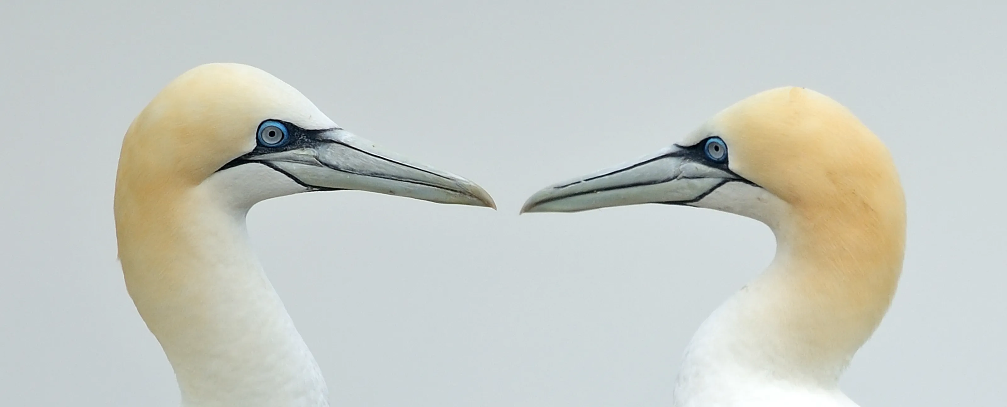 Symmetry