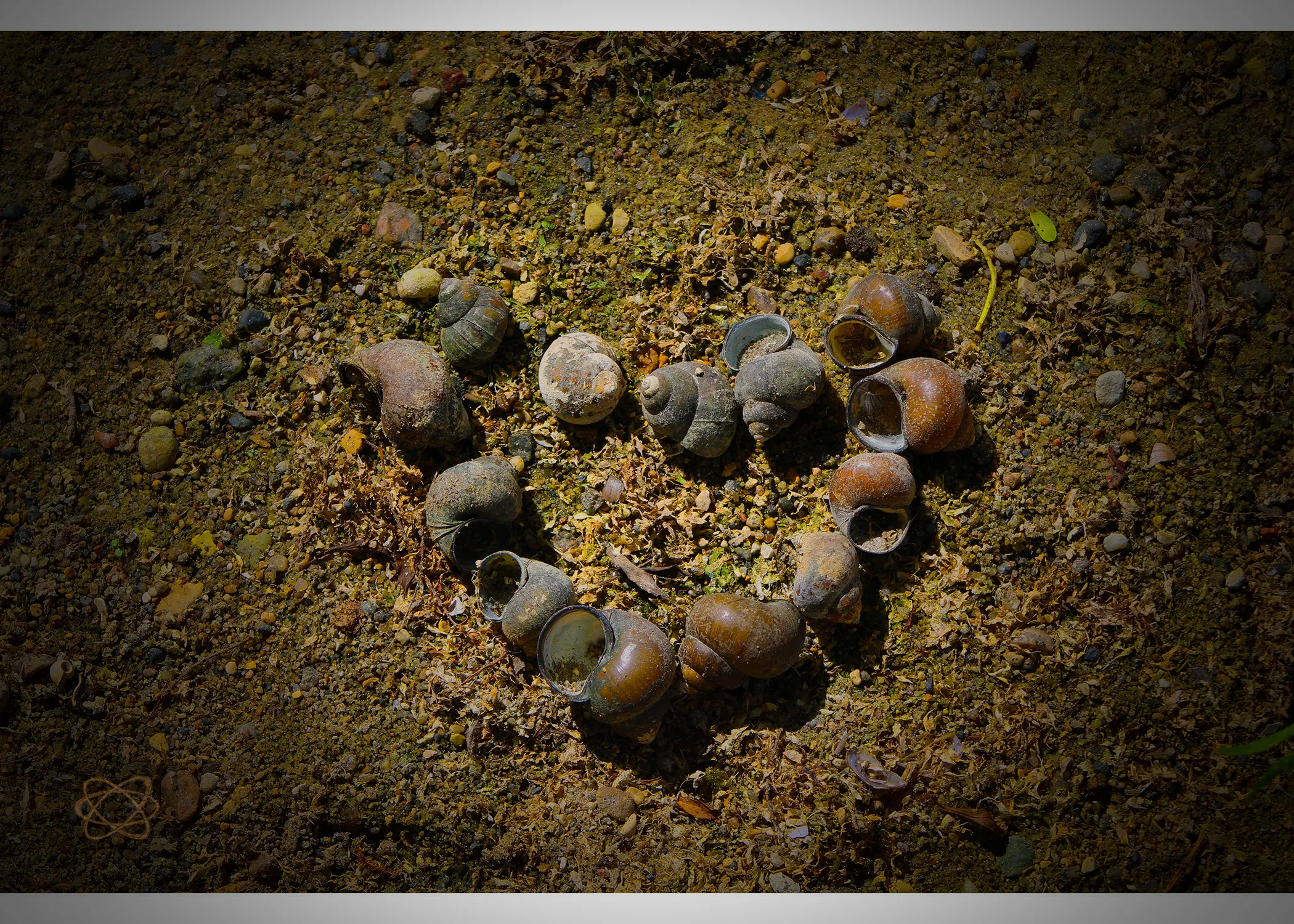 Shapes or Words Made of Natural Objects