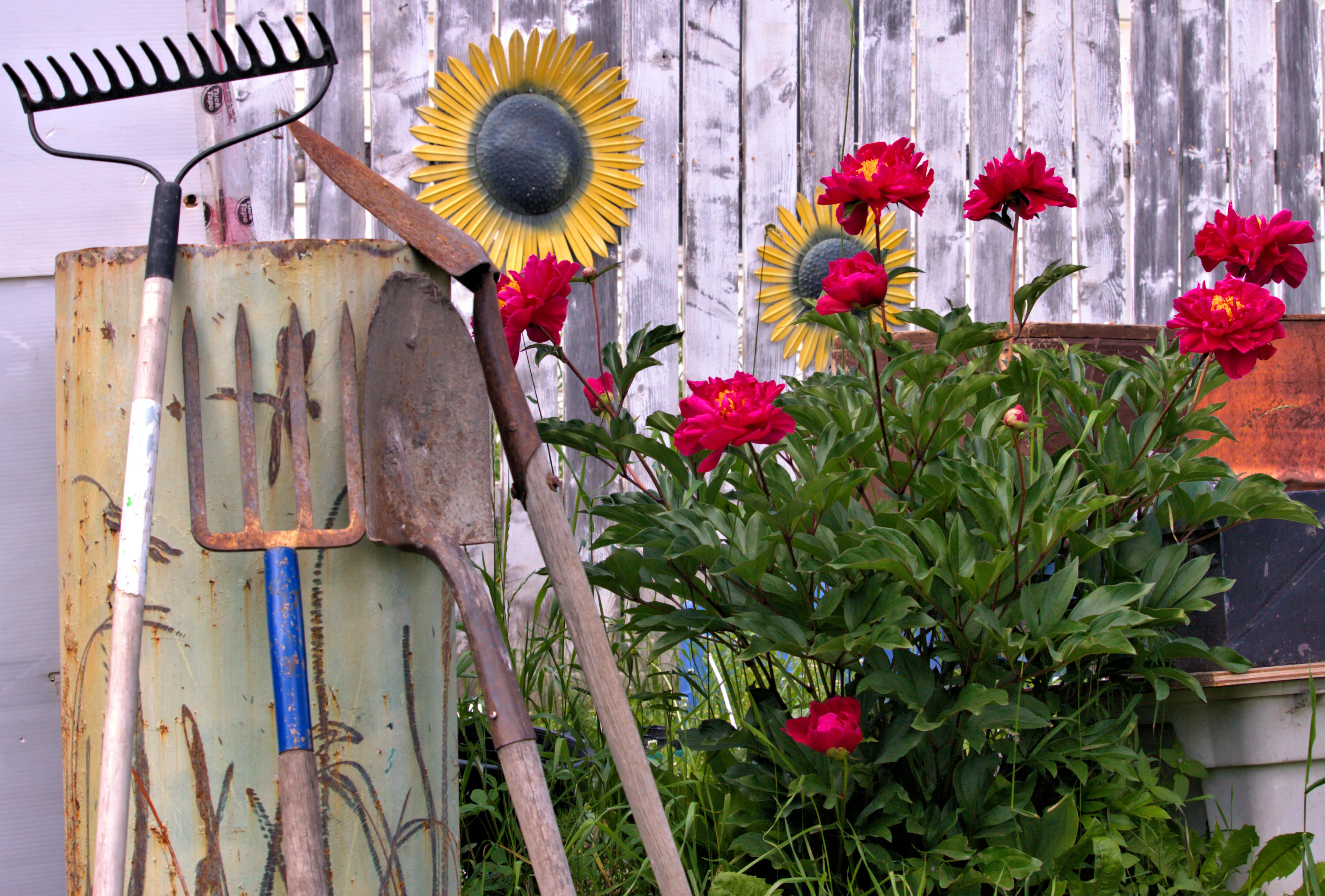 Gardening Tools and Equipment in the Garden