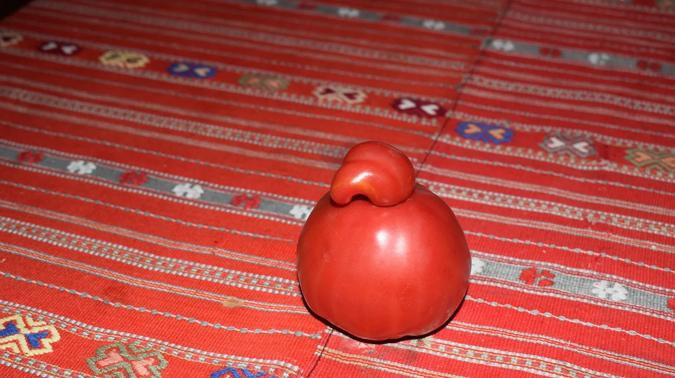 Strangely Shaped Fruit and Vegetables (in colour)