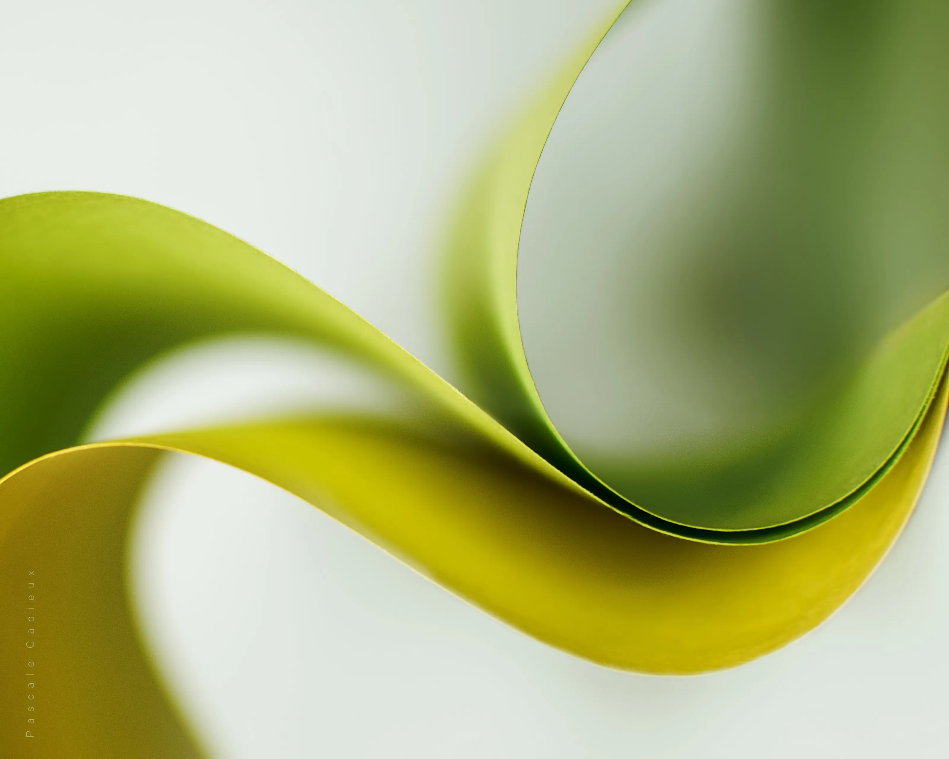 Abstract