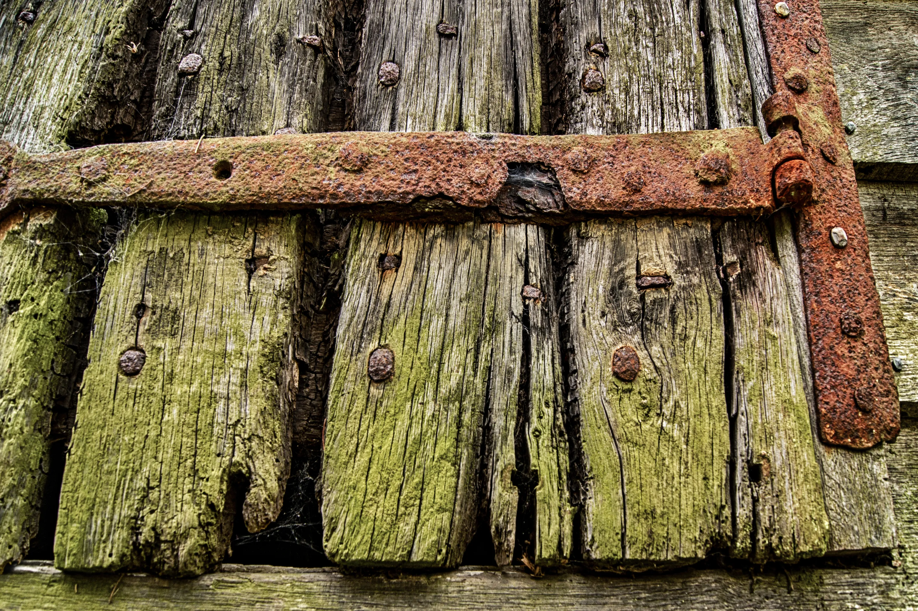 Rustic or Aged Wood (in colour)