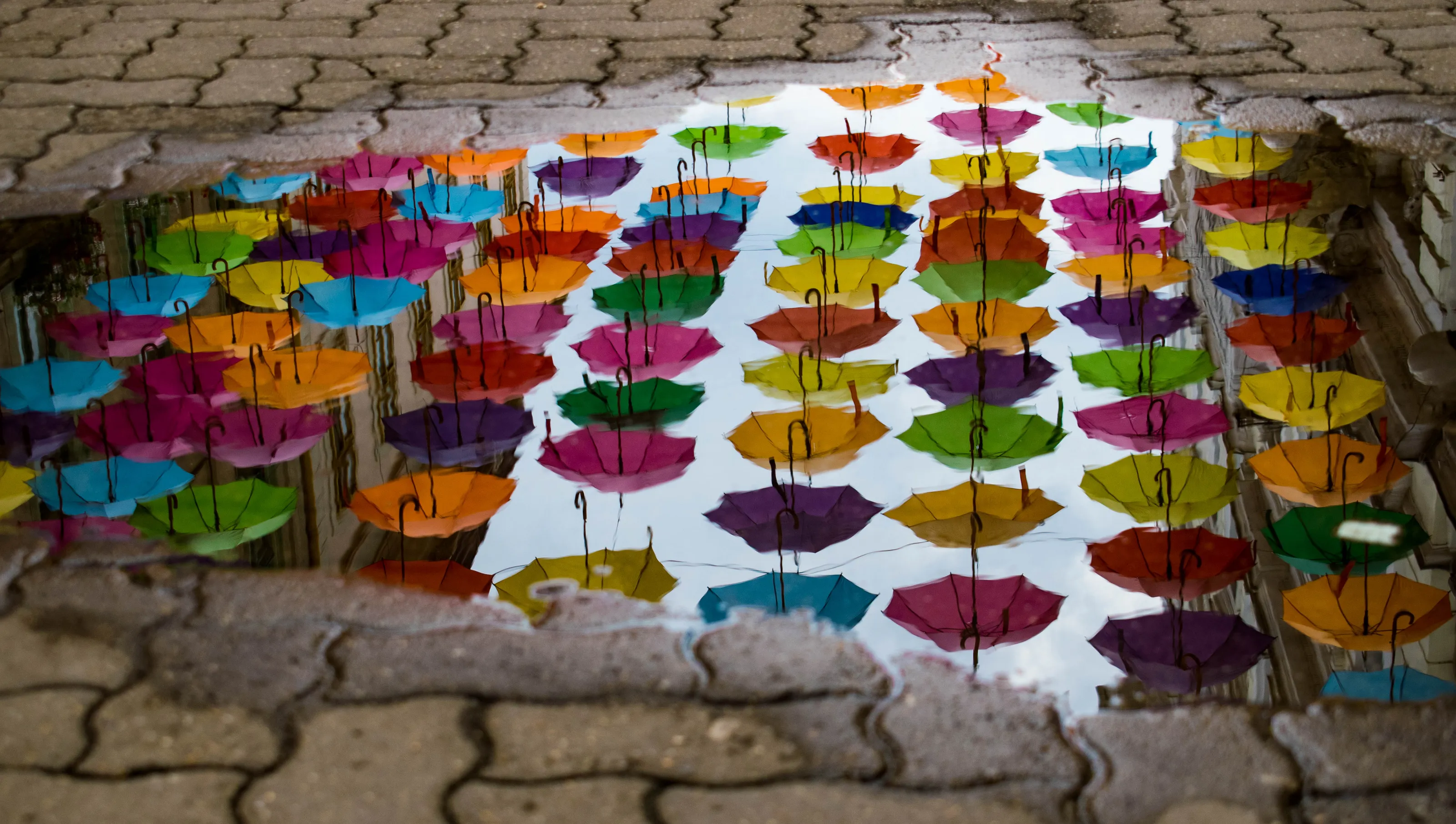 Puddles