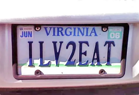 Vehicle License Plates