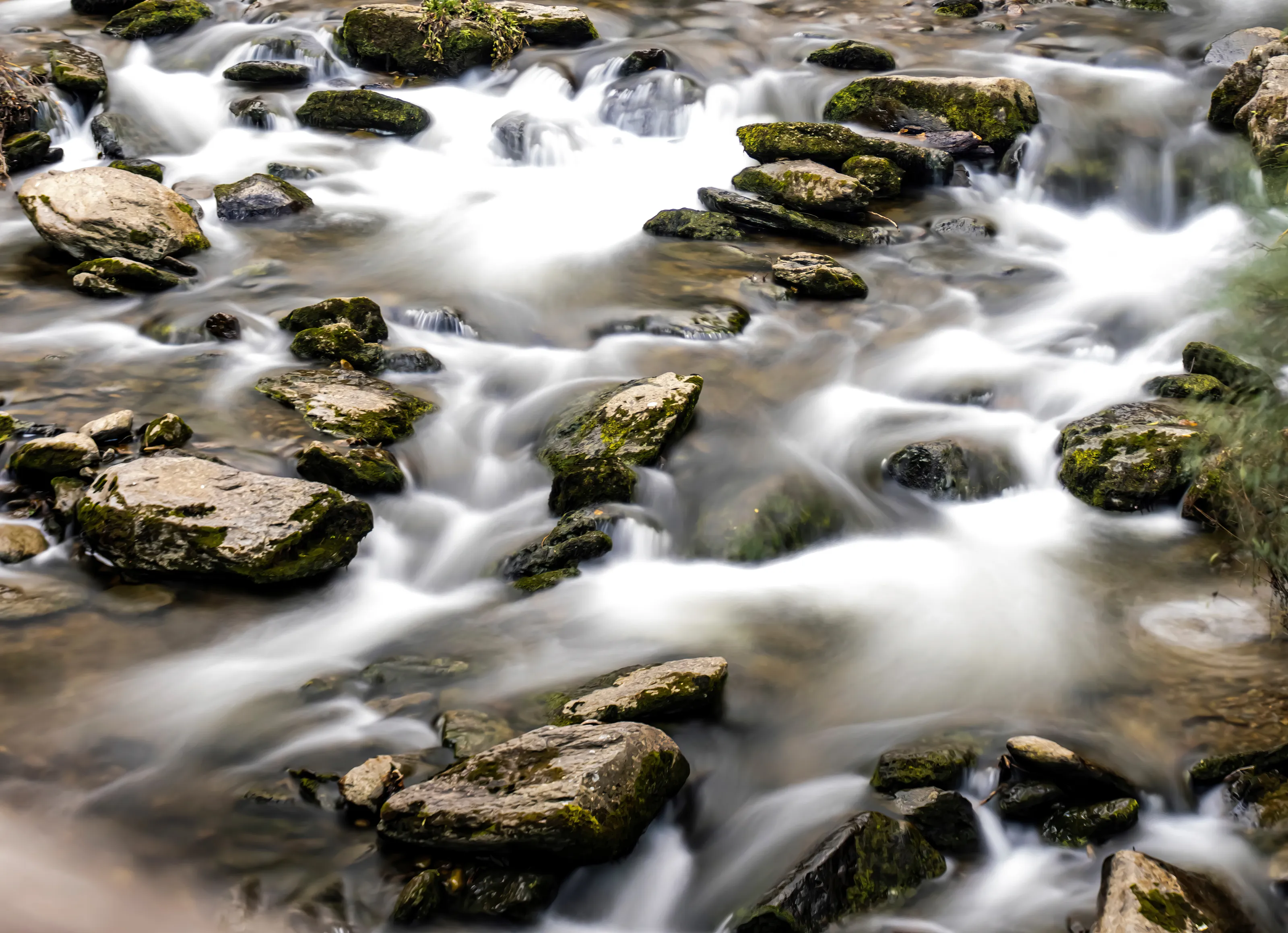Earth, Air, Fire and Water