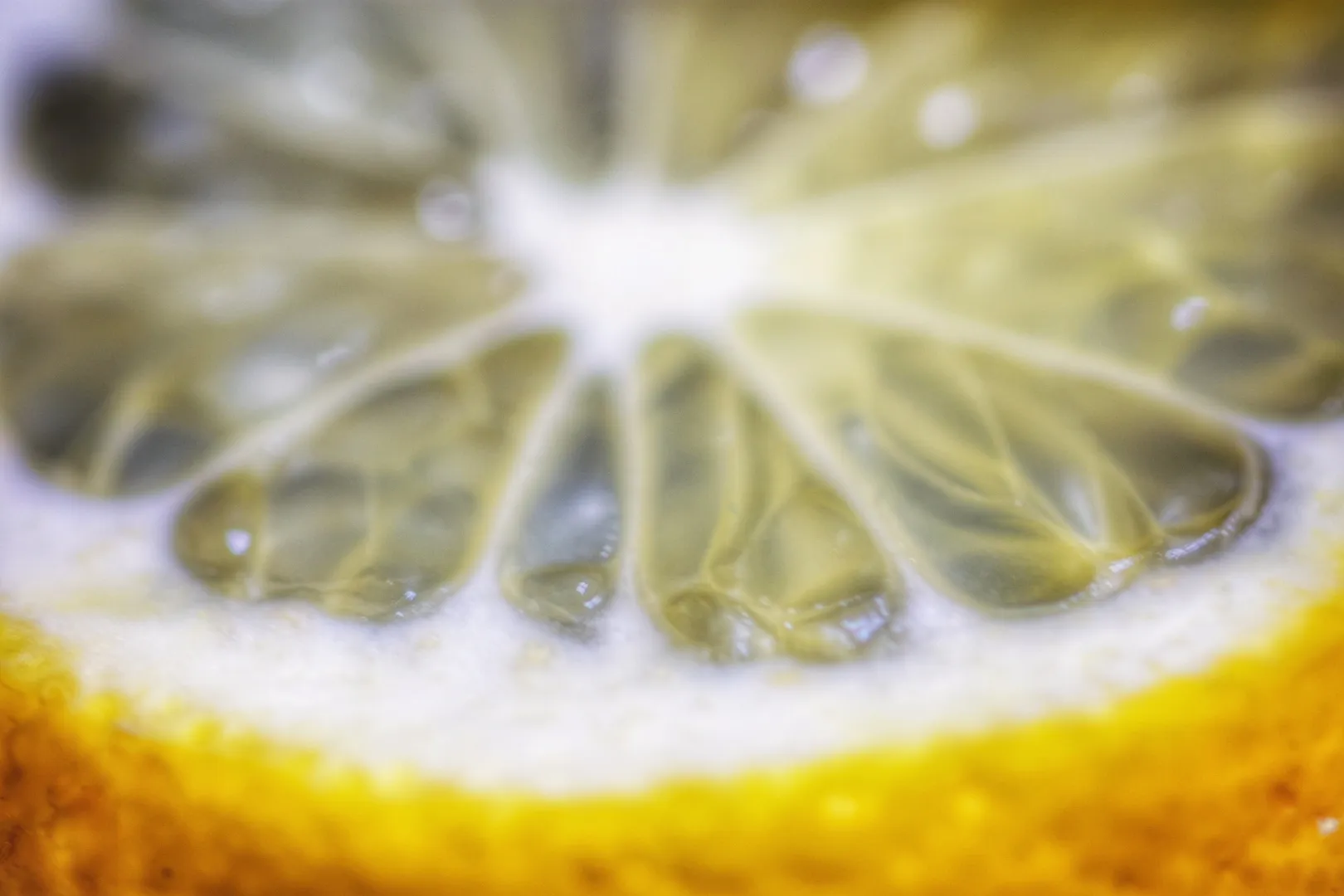 Fruit (in colour)