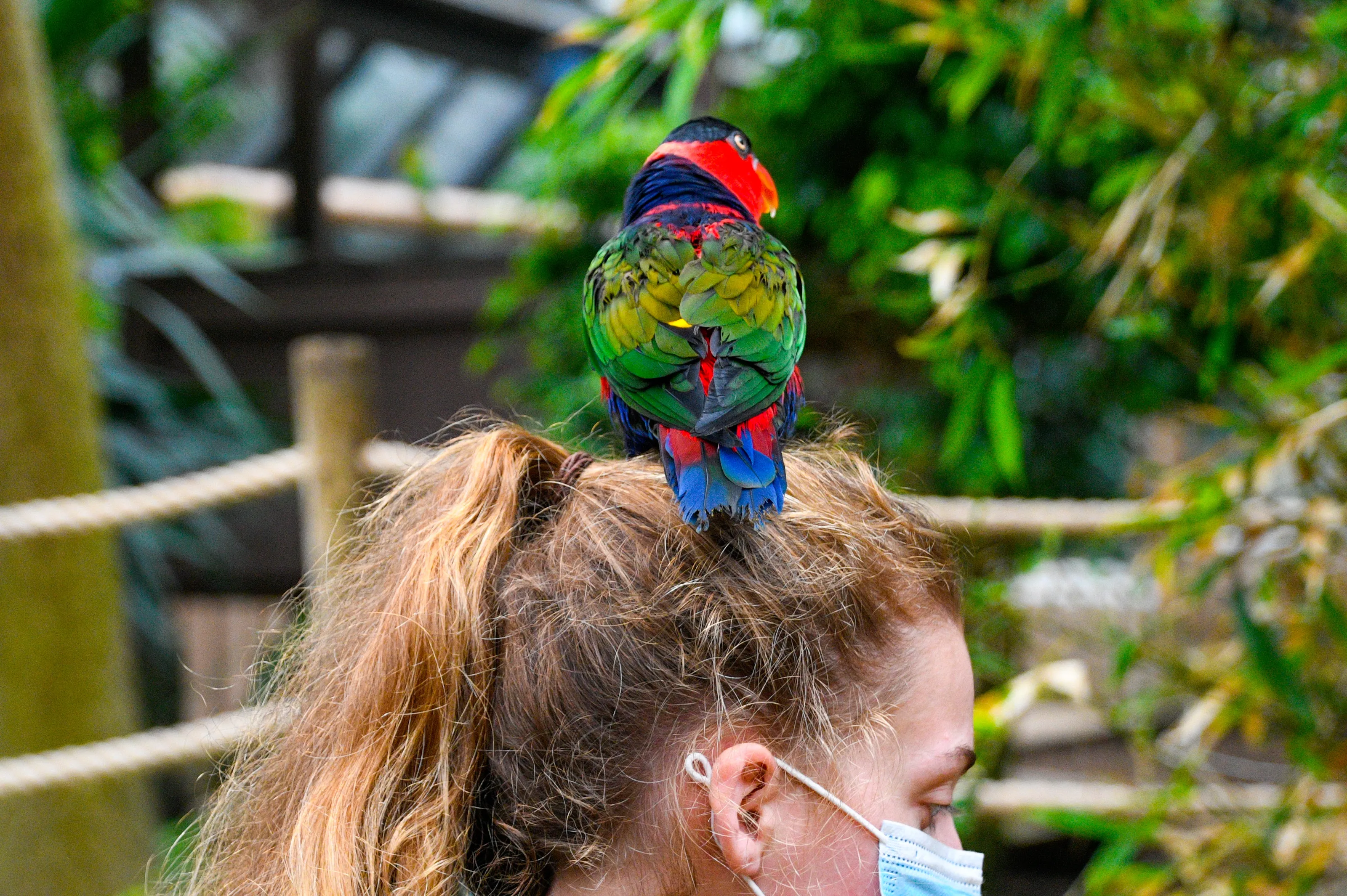 Something Unusual on a Person's Head