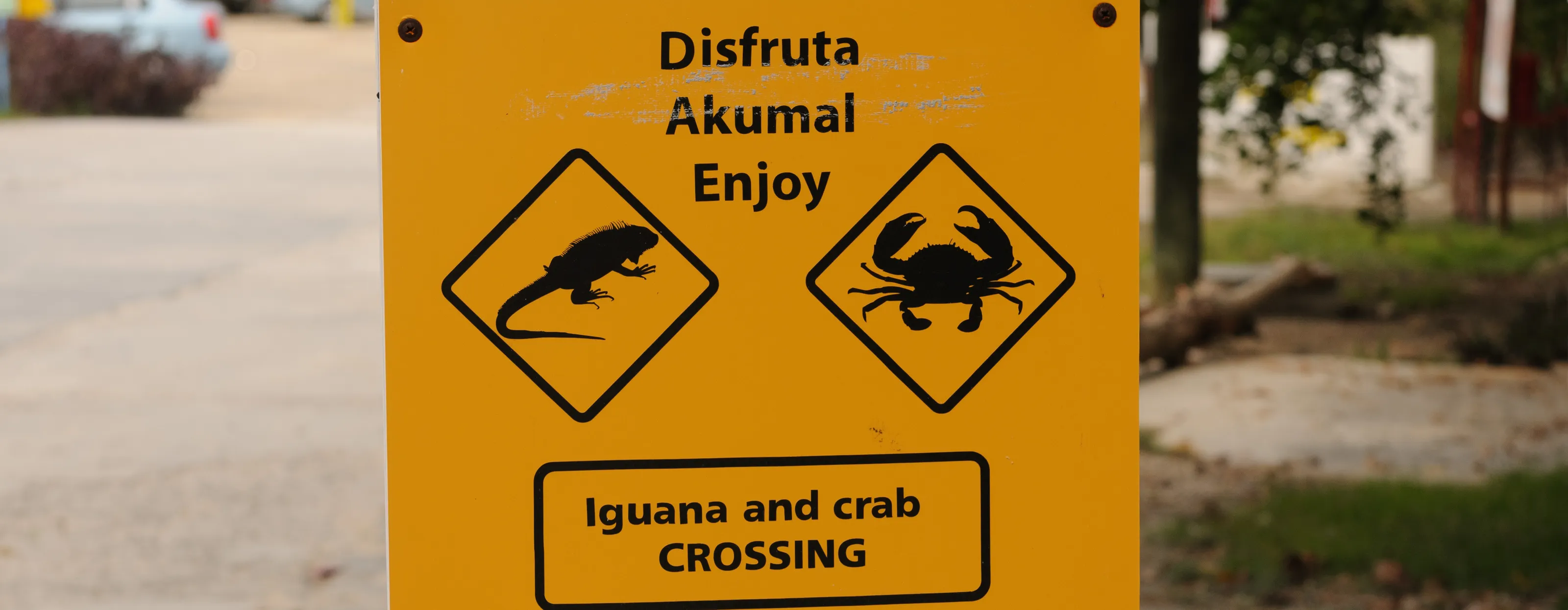 Unusual Signs