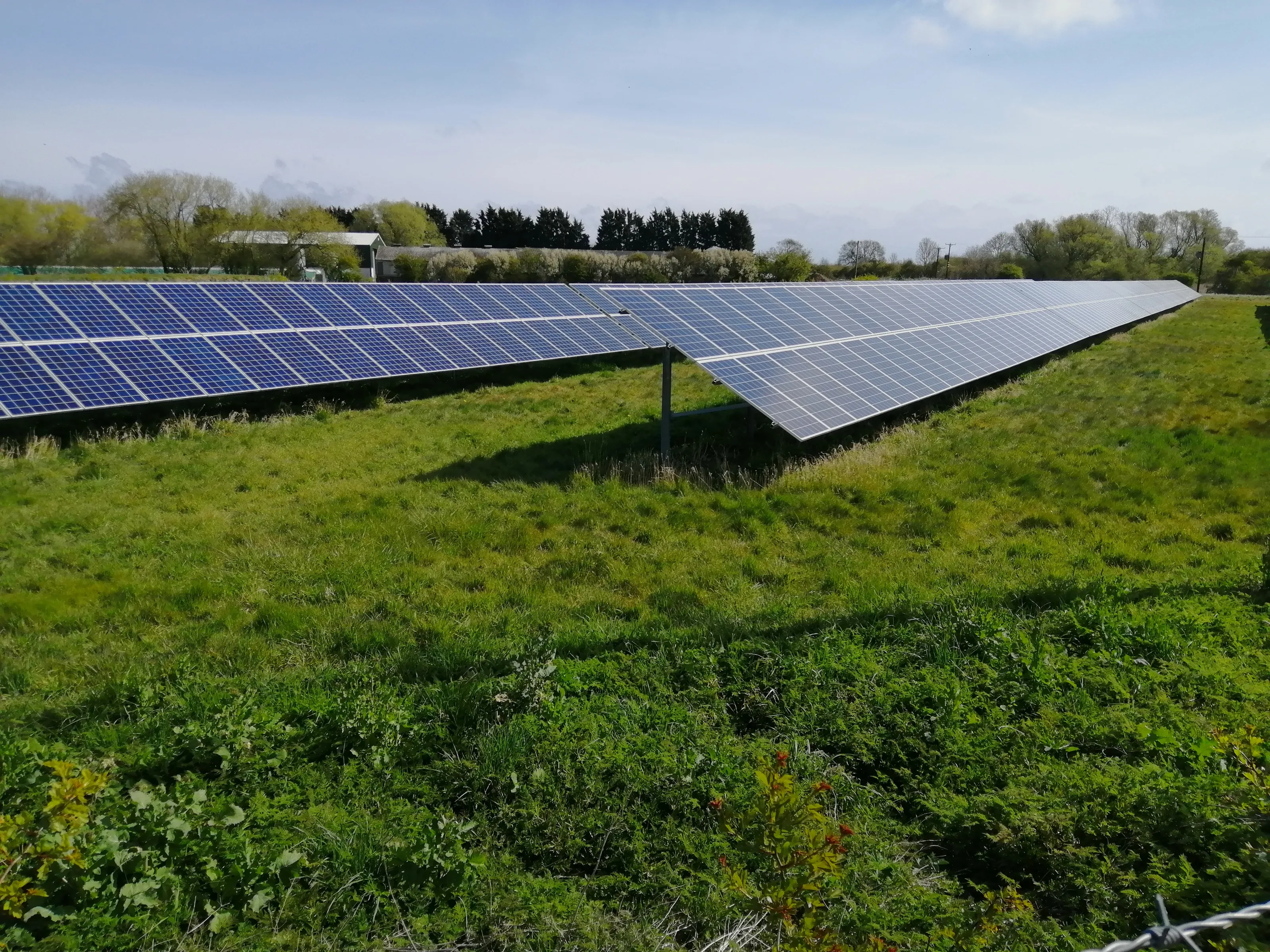 Sustainability