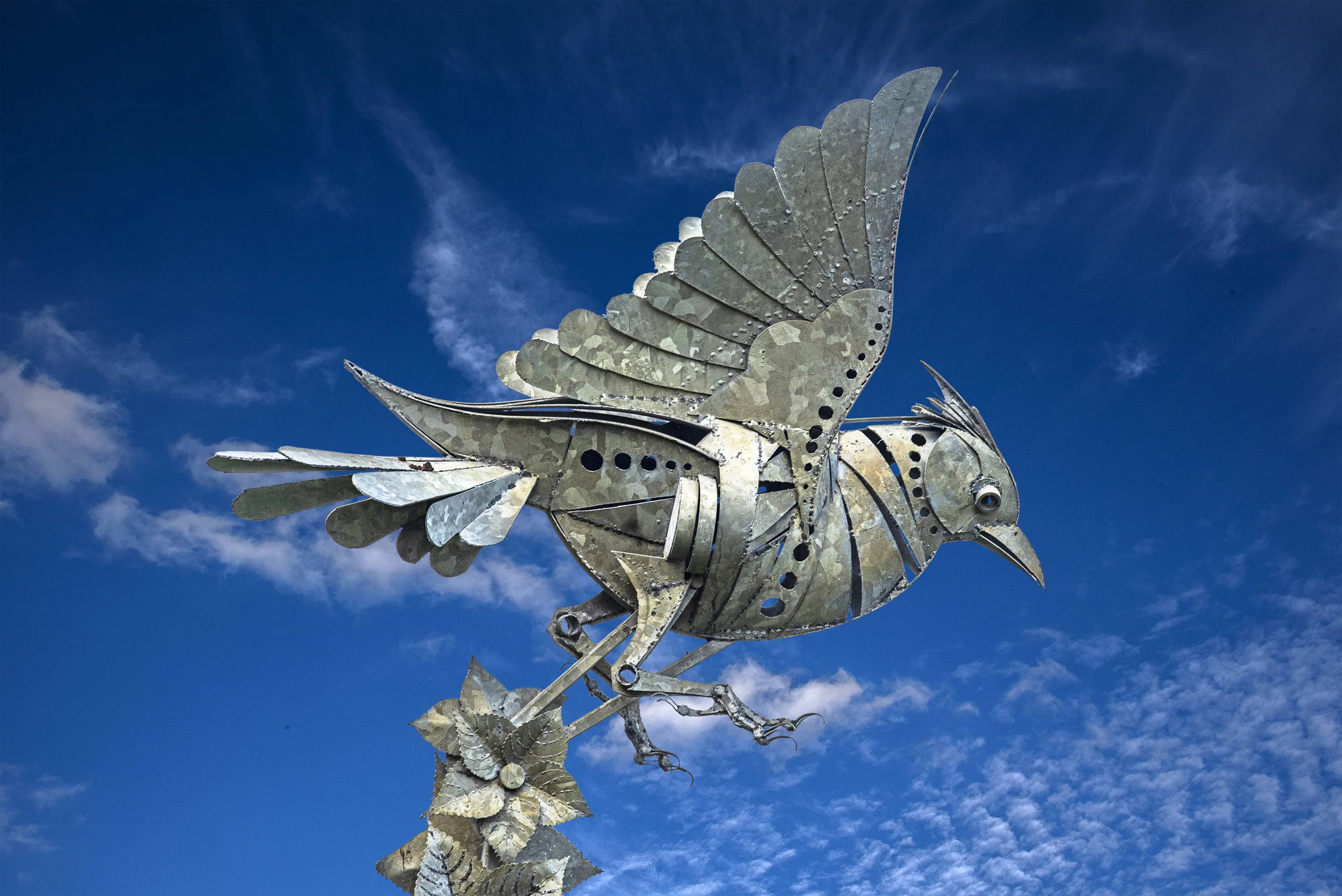Animal Sculptures