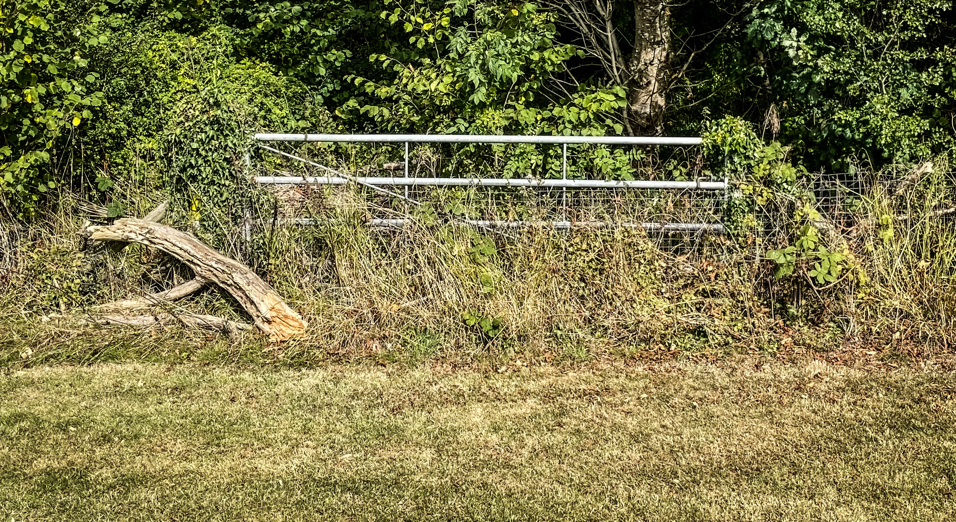 Abandoned Gateways (in colour)