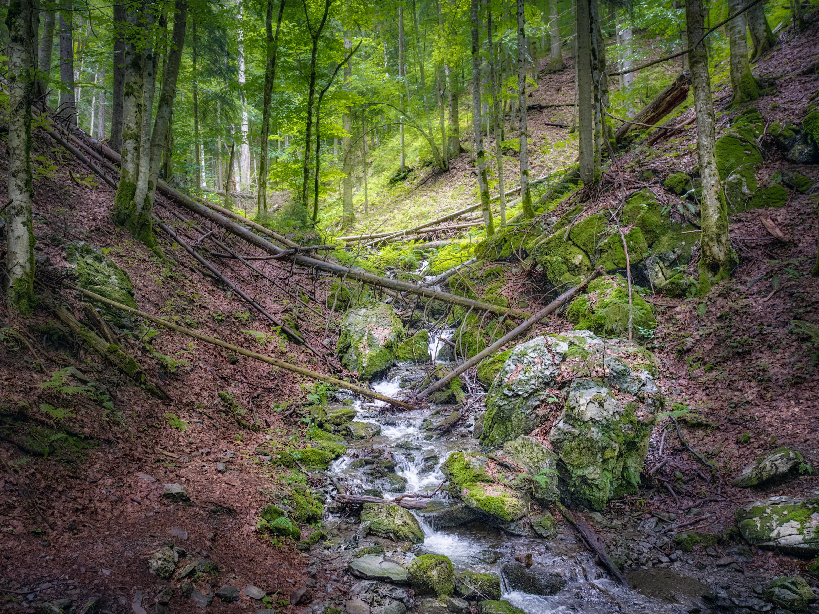 Small Streams and Brooks