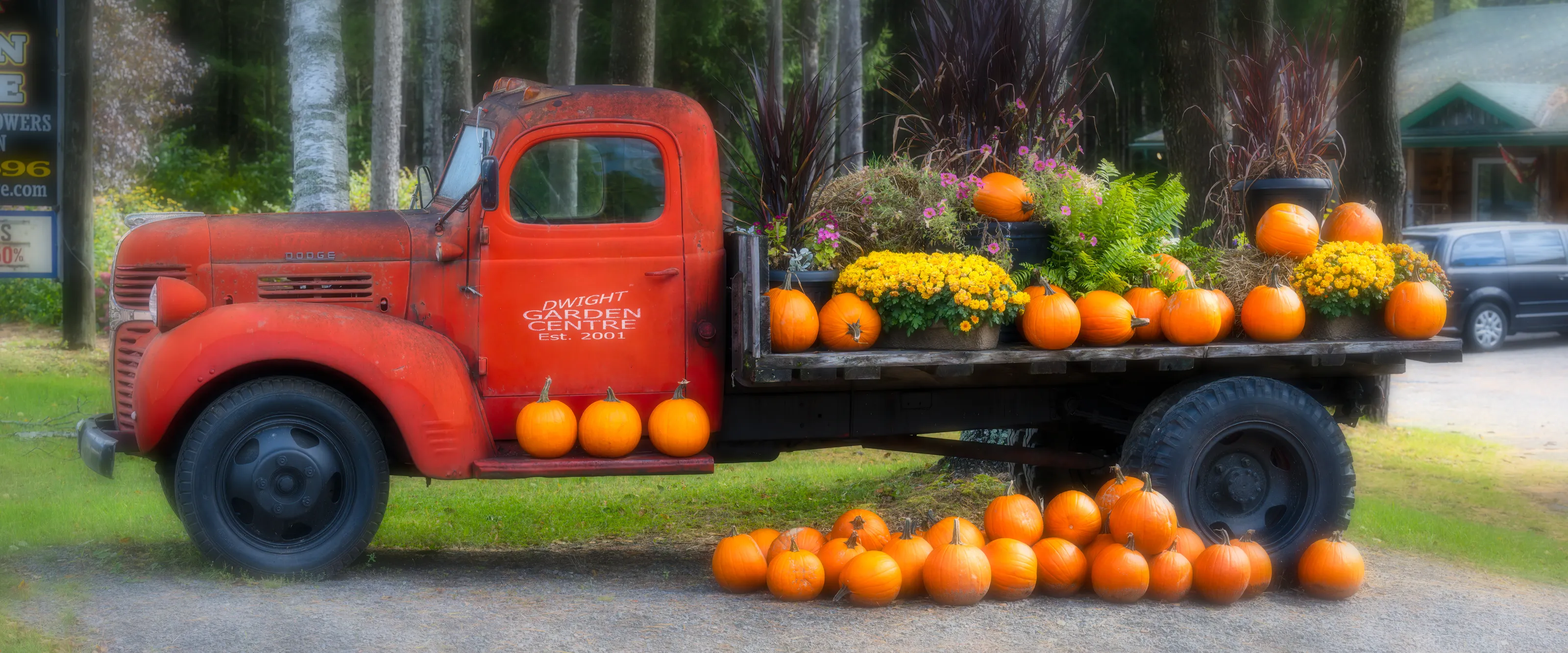 Autumn Decorations and Decorative Displays