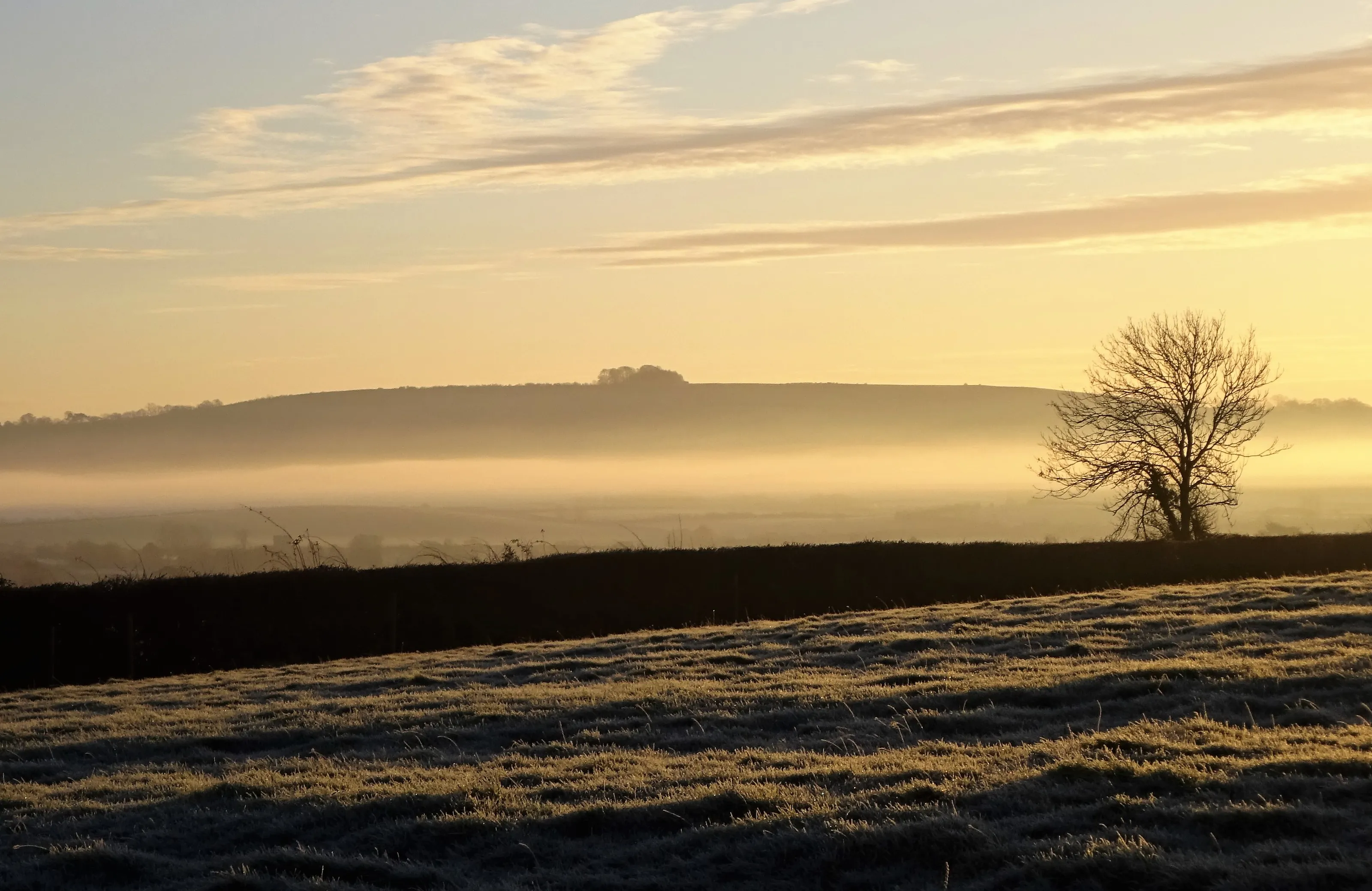 Early Morning Mist