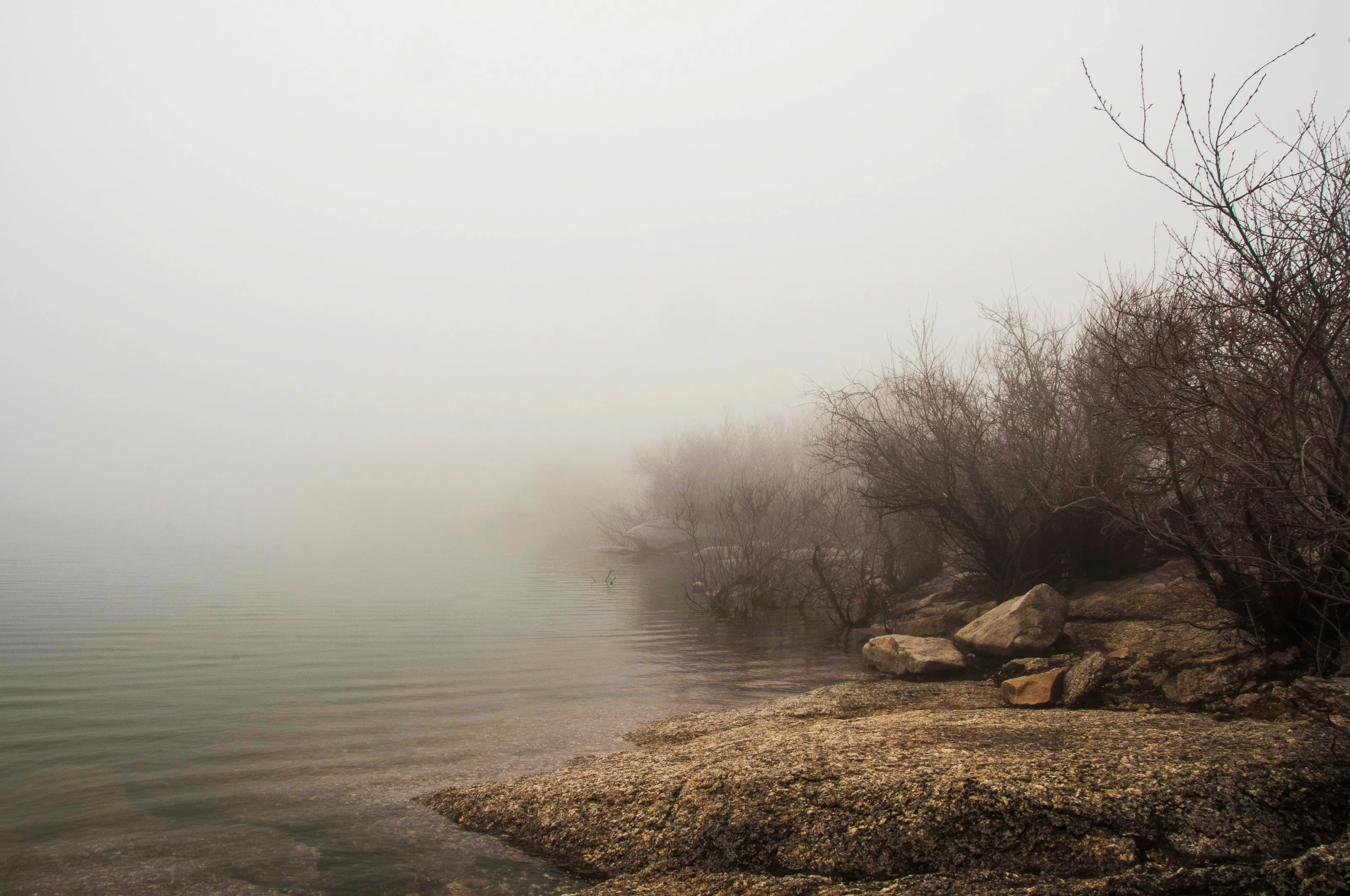 Foggy Moments