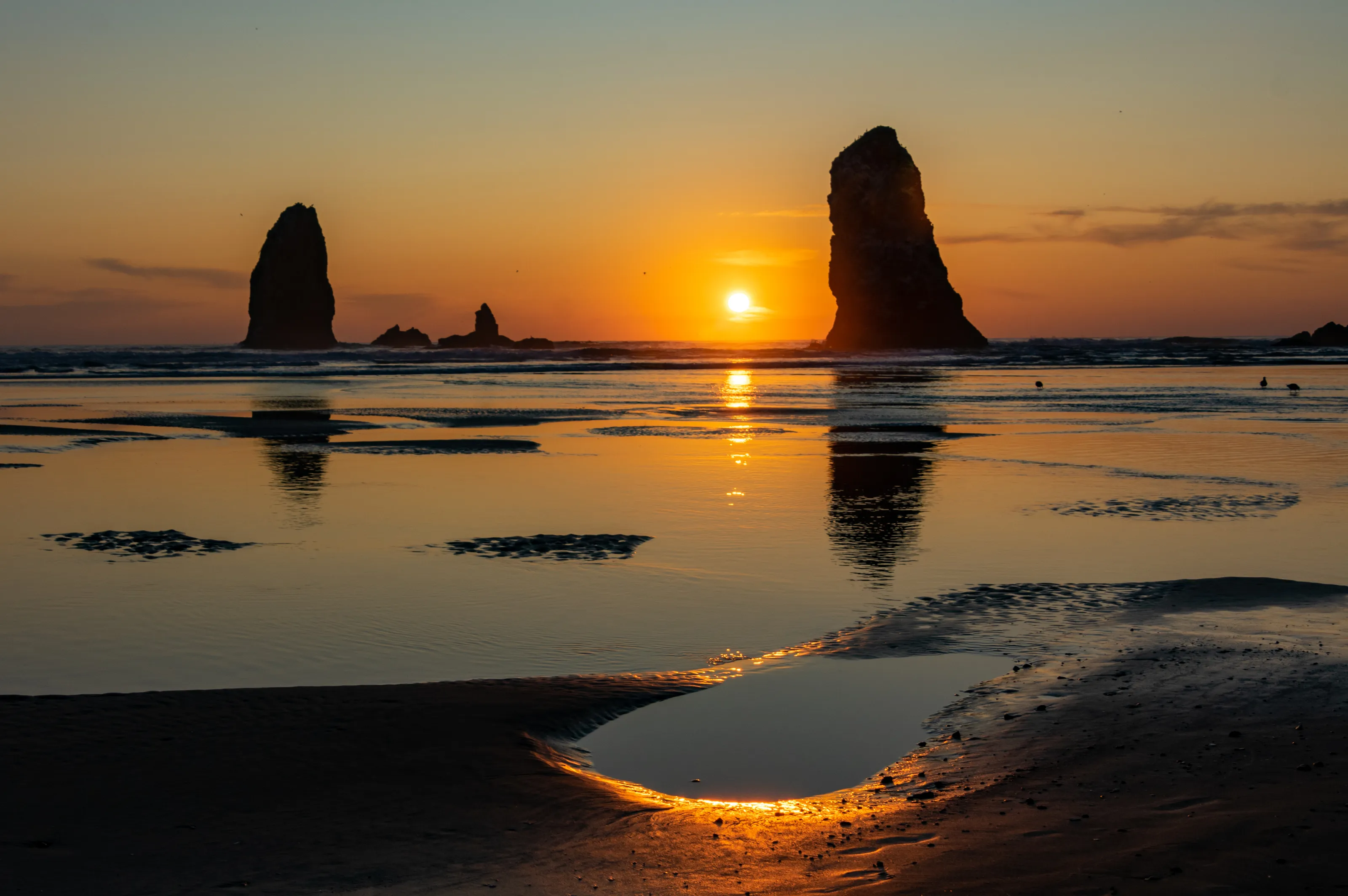The Pacific Coastline of North America