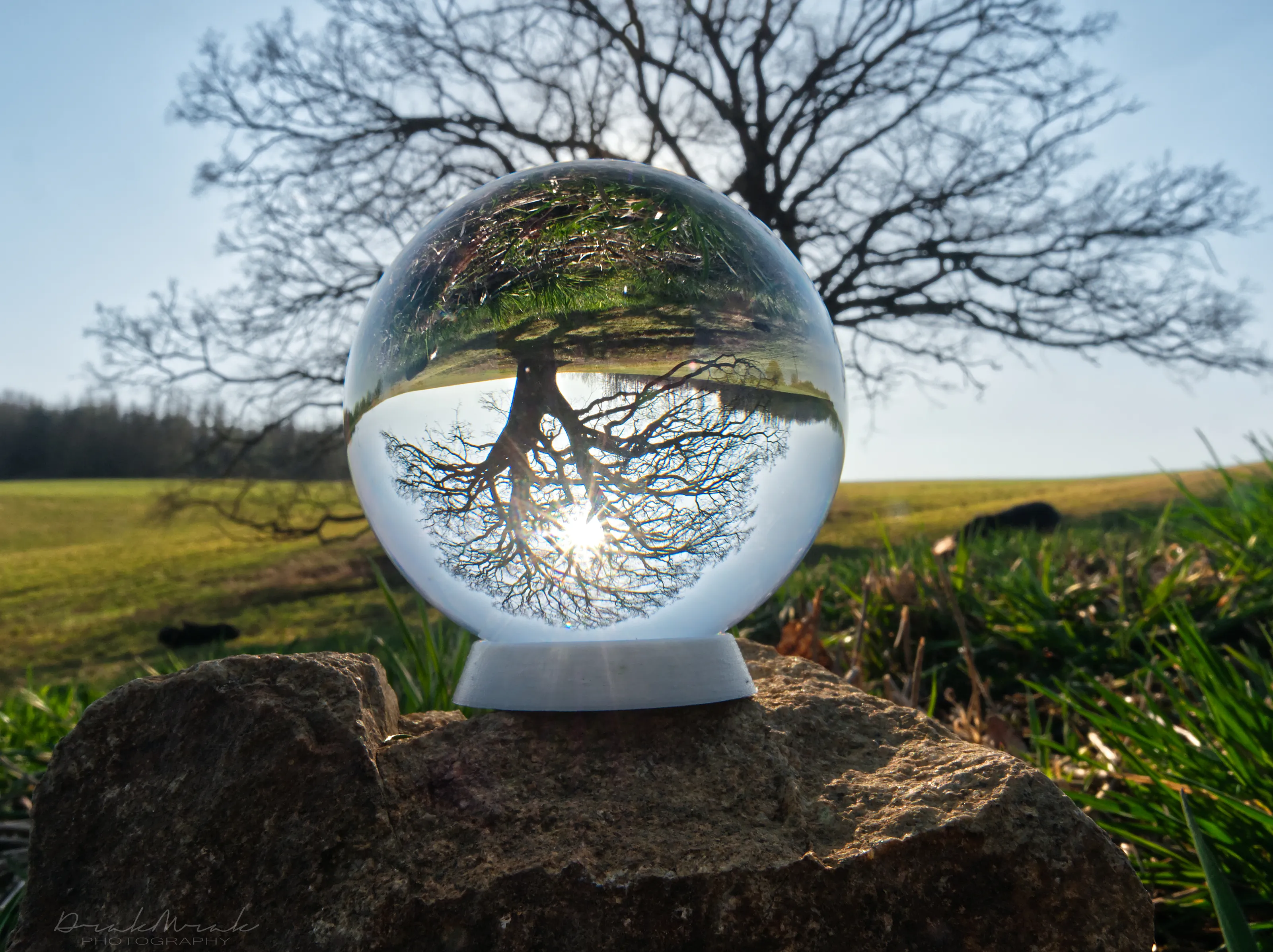 The Great Outdoors - Through a Lens Ball (colour)