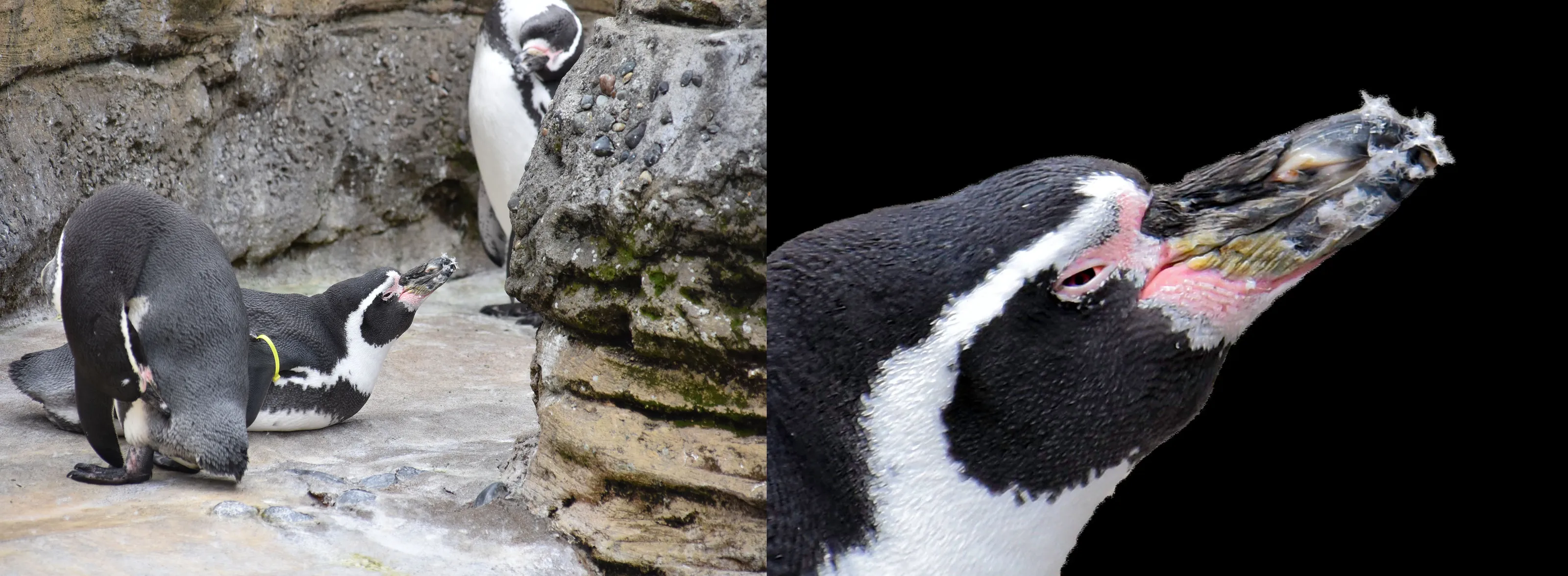 Before and After Editing